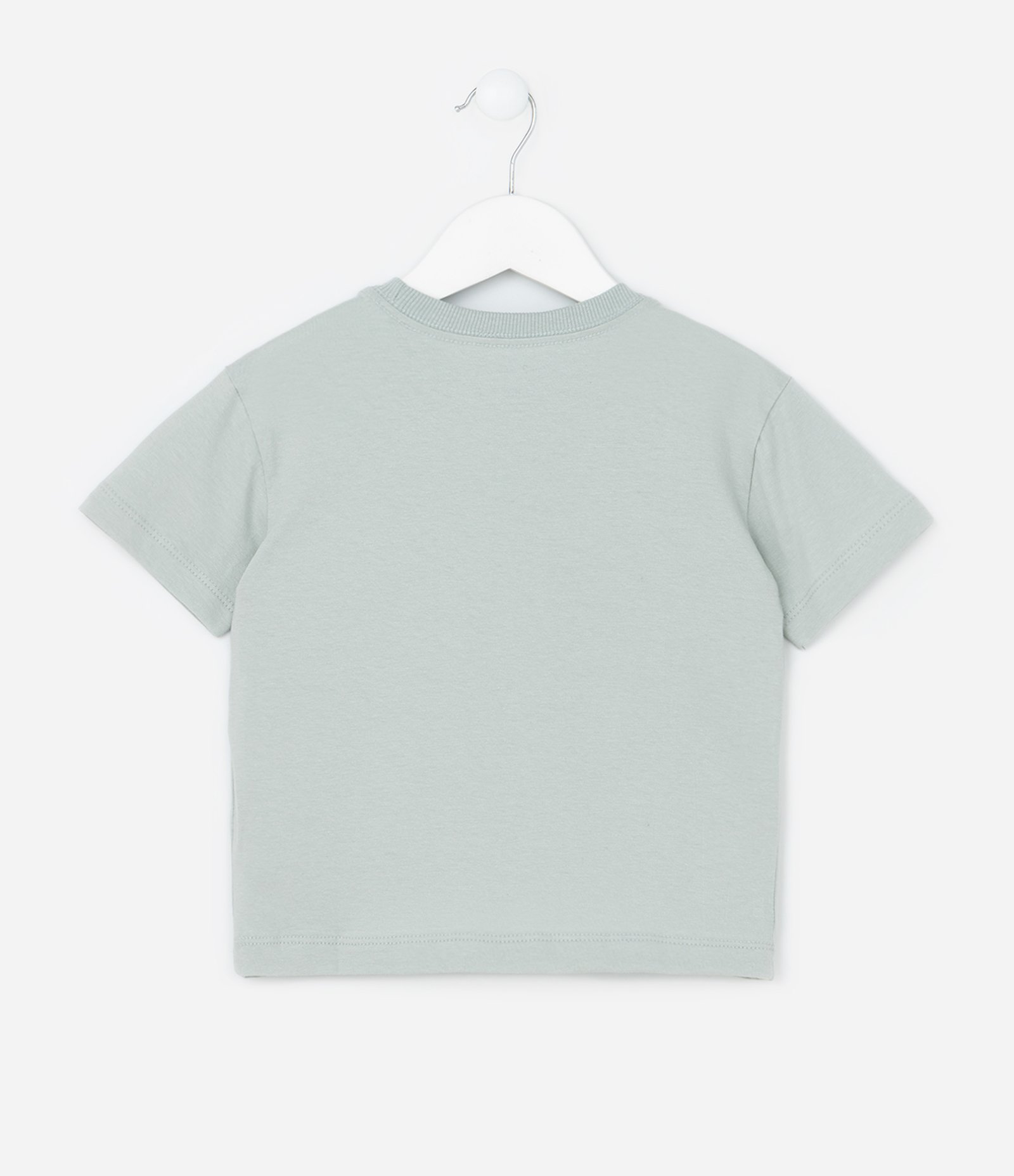 Camiseta Infantil com Estampa Jacaré - Tam 1 a 6 Anos Cinza 2