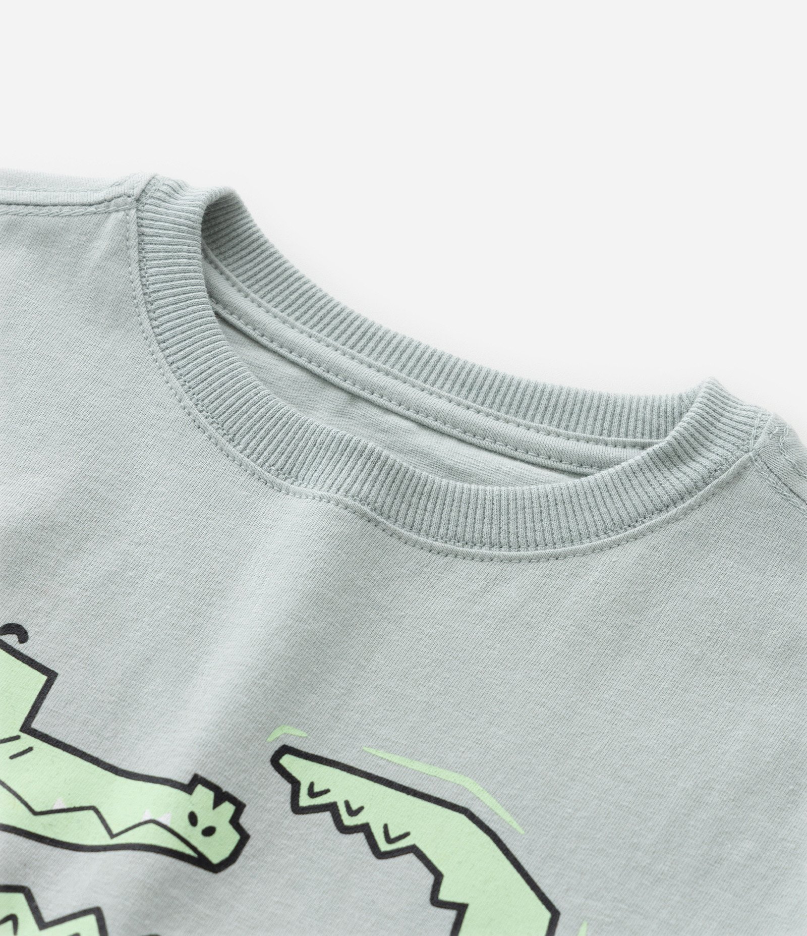 Camiseta Infantil com Estampa Jacaré - Tam 1 a 6 Anos Cinza 4