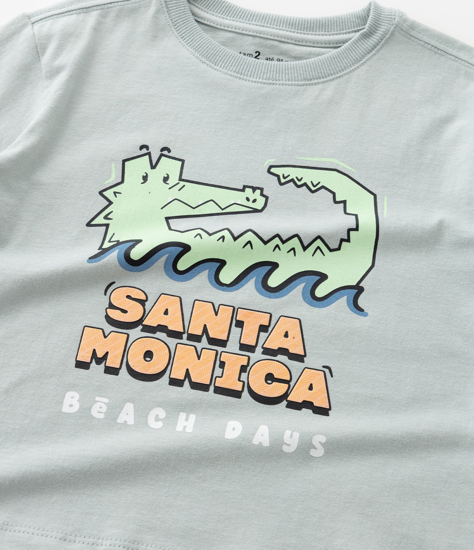 Camiseta Infantil com Estampa Jacaré - Tam 1 a 6 Anos Cinza 5