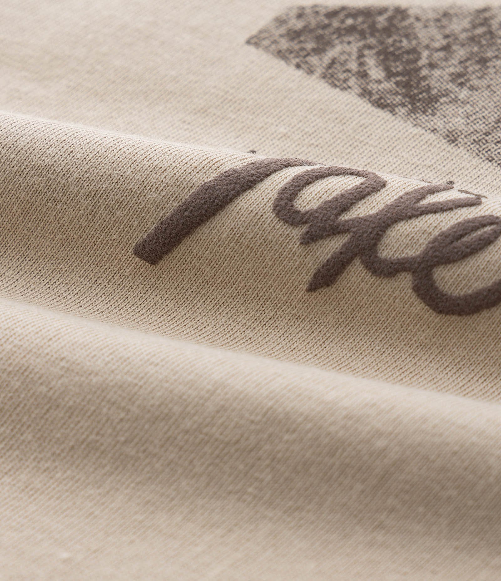 Camiseta Infantil com Estampa Folhagem - Tam 5 a 14  Anos Bege 3