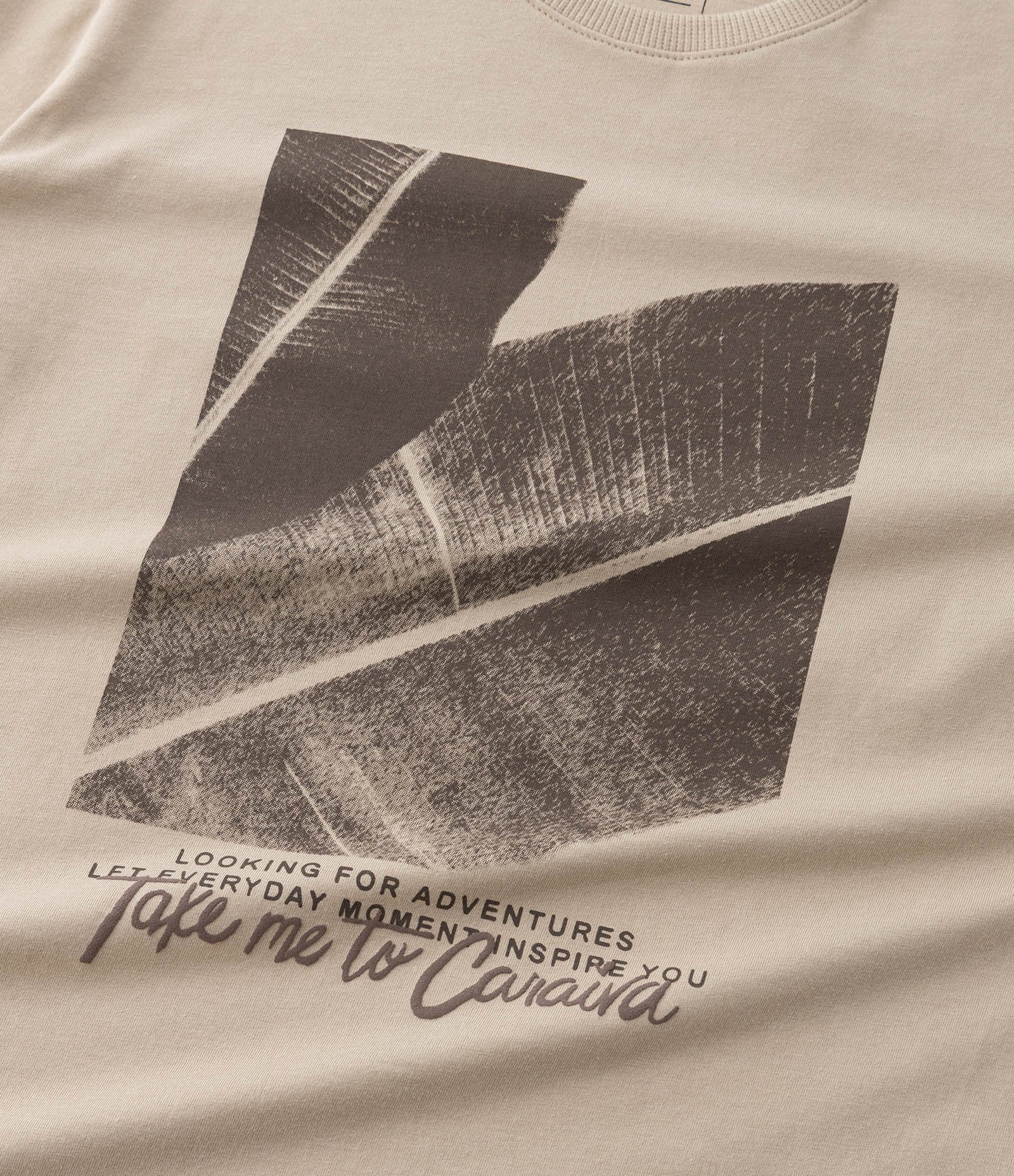 Camiseta Infantil com Estampa Folhagem - Tam 5 a 14  Anos Bege 4