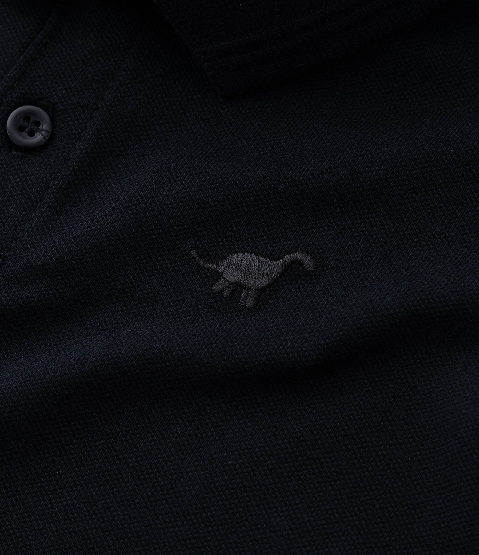 Camiseta Polo Infantil com Bordado - Tam 1 a 5 Anos Preto 7