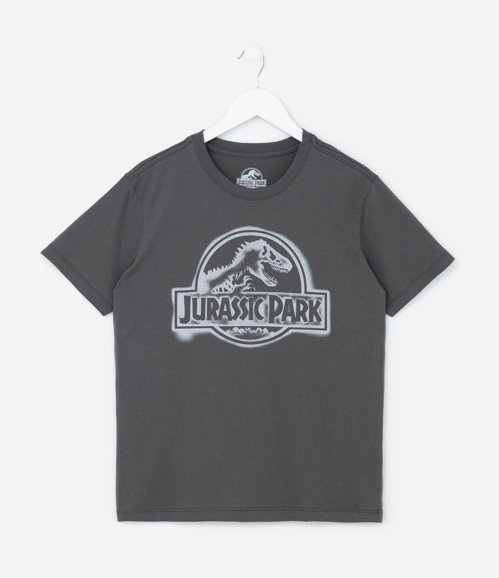 Camiseta Infantil com Estampa Jurassic Park - Tam 5 a 14 Anos Cinza 1