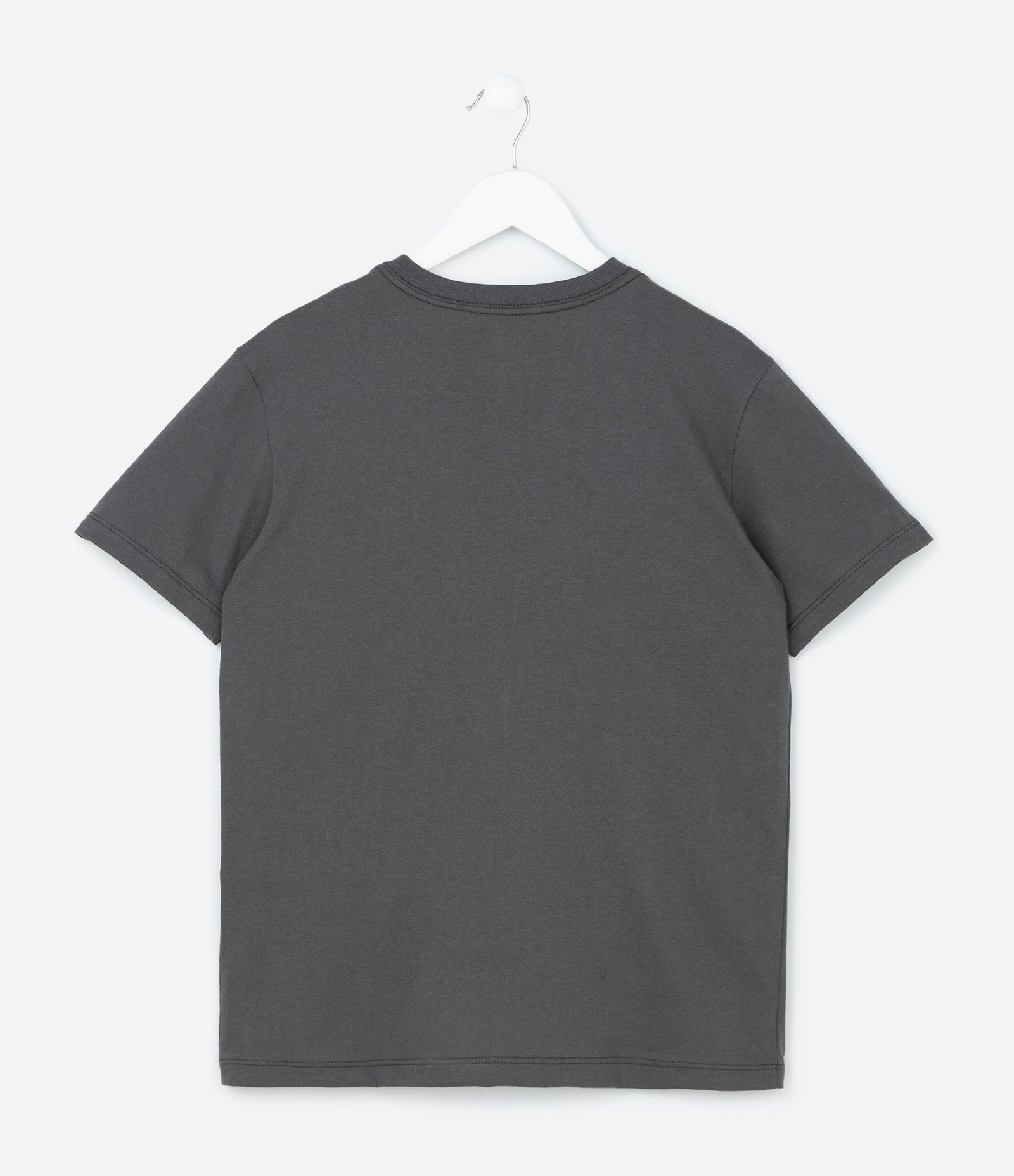 Camiseta Infantil com Estampa Jurassic Park - Tam 5 a 14 Anos Cinza 2