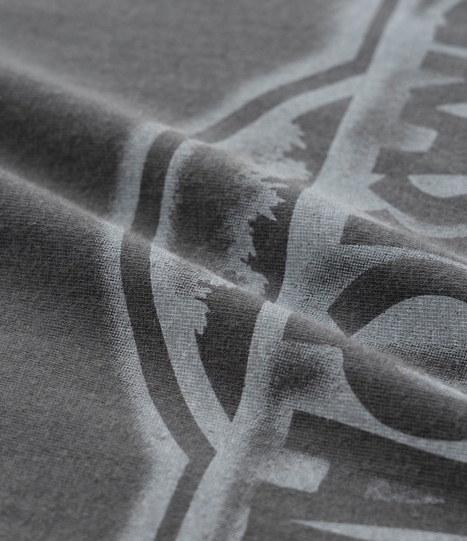 Camiseta Infantil com Estampa Jurassic Park - Tam 5 a 14 Anos Cinza 3