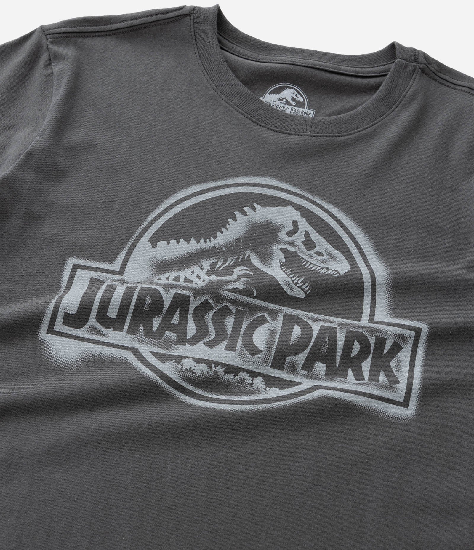 Camiseta Infantil com Estampa Jurassic Park - Tam 5 a 14 Anos Cinza 4