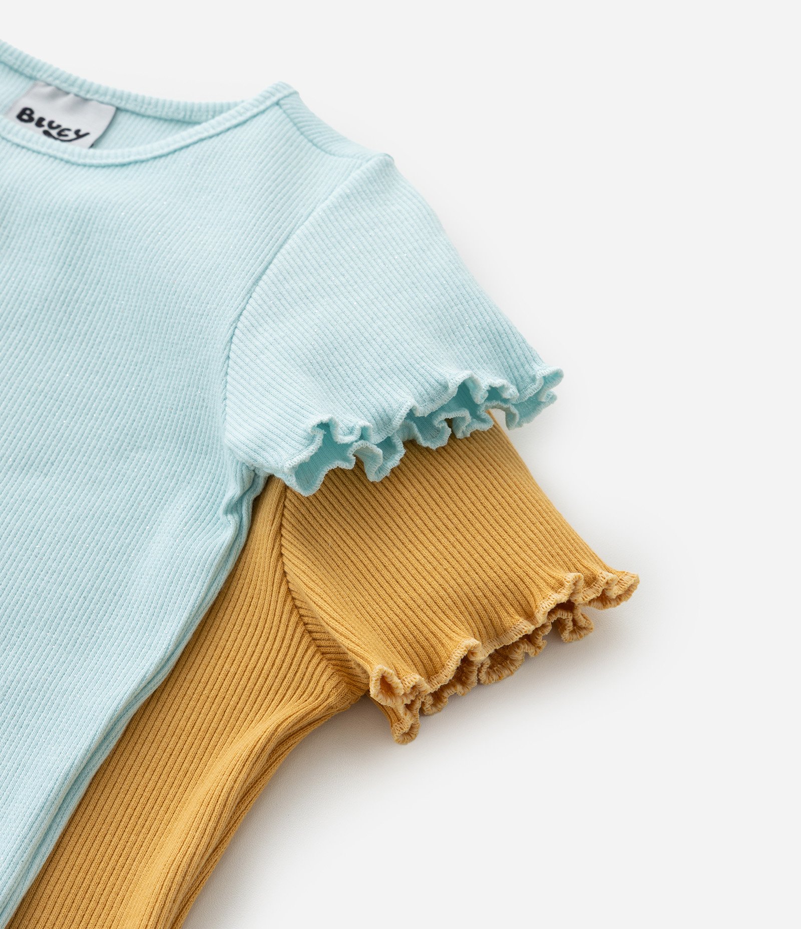 Kit 02 Blusas Regulares Infantis em Ribana com Estampa Bluey - Tam 1 a 6 Anos Azul/Amarelo 8