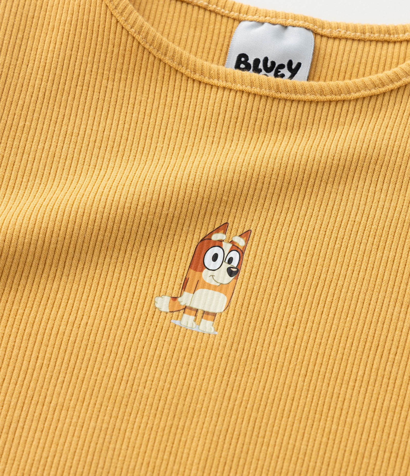 Kit 02 Blusas Regulares Infantis em Ribana com Estampa Bluey - Tam 1 a 6 Anos Azul/Amarelo 6