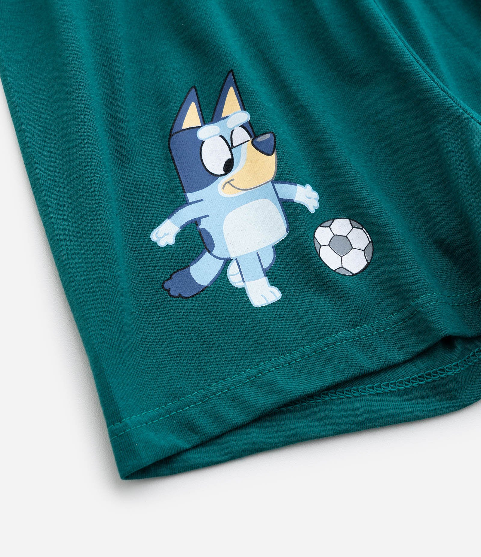 Pijama Infantil Curto com Estampa Bluey - Tam 2 a 6 Anos Verde 9