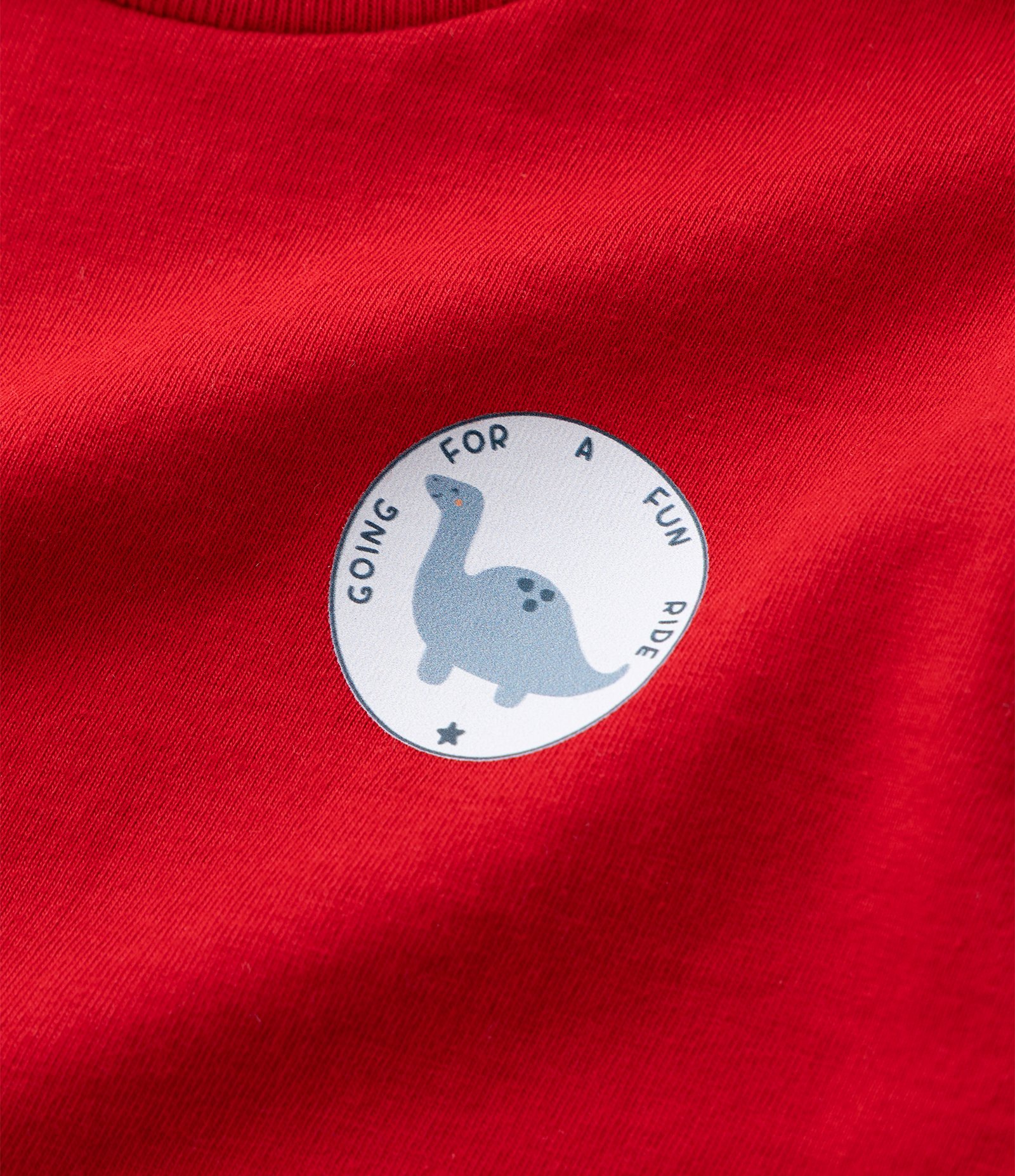 Conjunto Infantil com Estampa de Dinossauro – Tam 0 a 18 Meses Vermelho/Off White 13