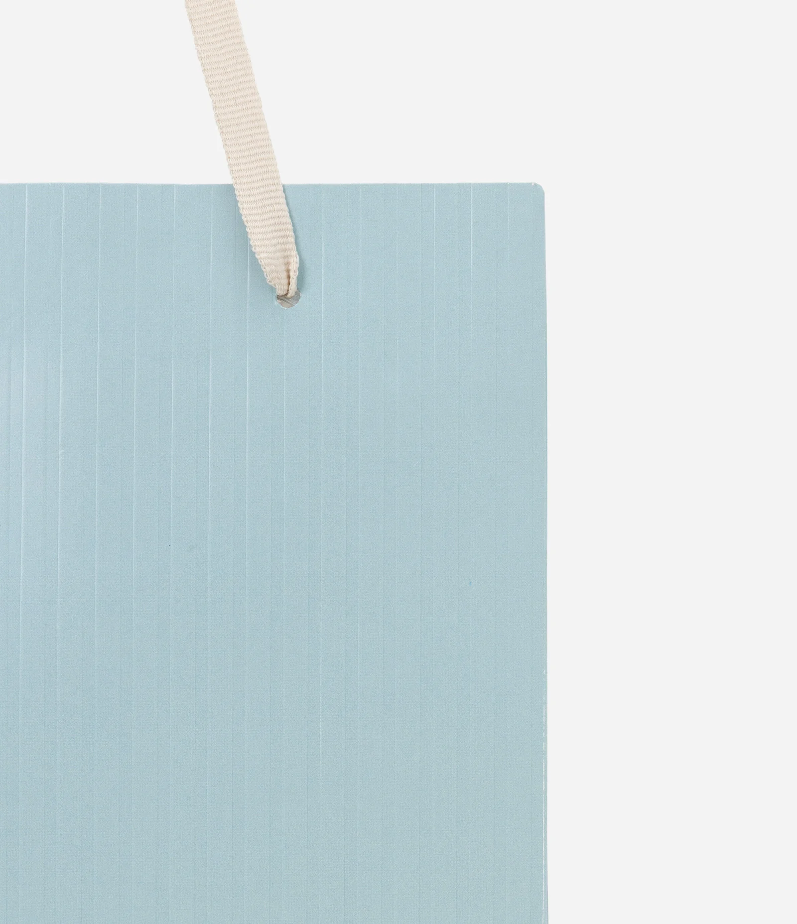 Embalagem de Presente com Alça de Corda Azul 2