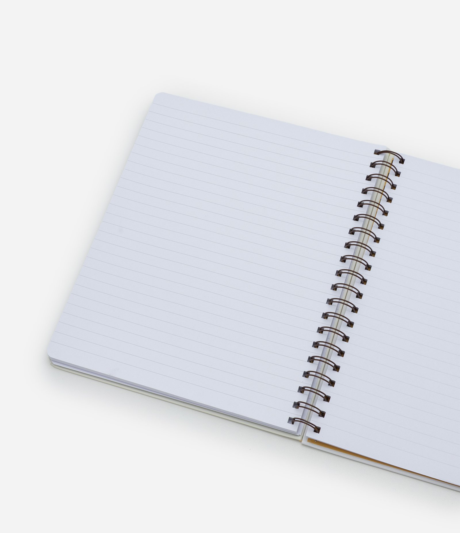 Caderno Pautado do Ursinho Pooh Multicores 3