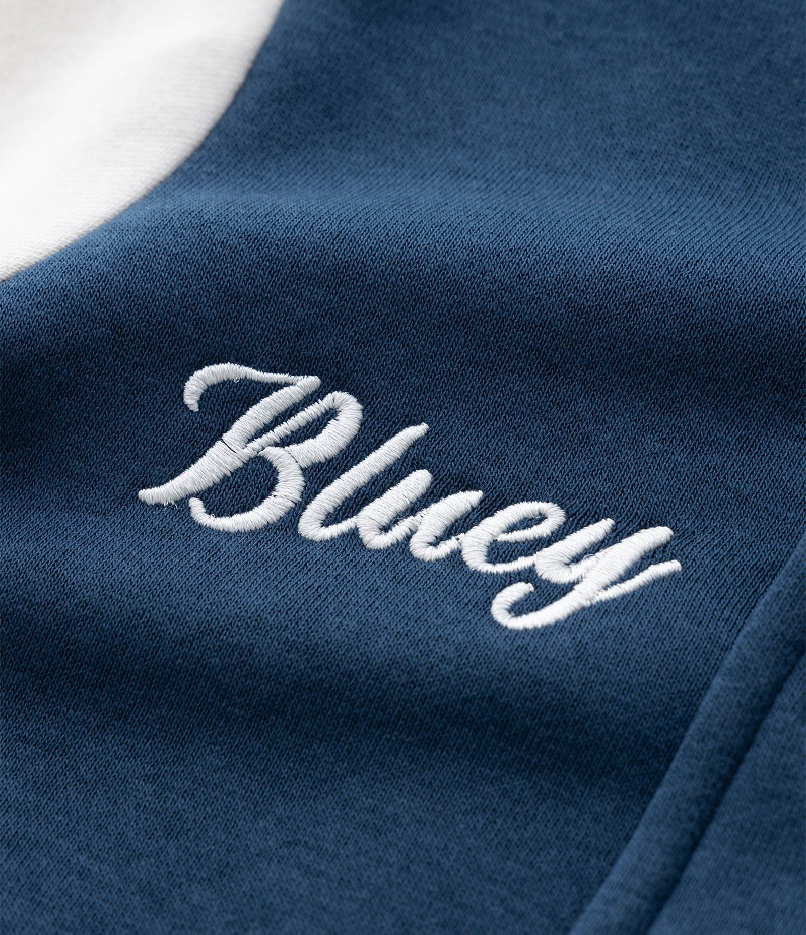 Casaco Infantil Bomber com Estampa Bluey – Tam 1 a 6 Anos Azul 3
