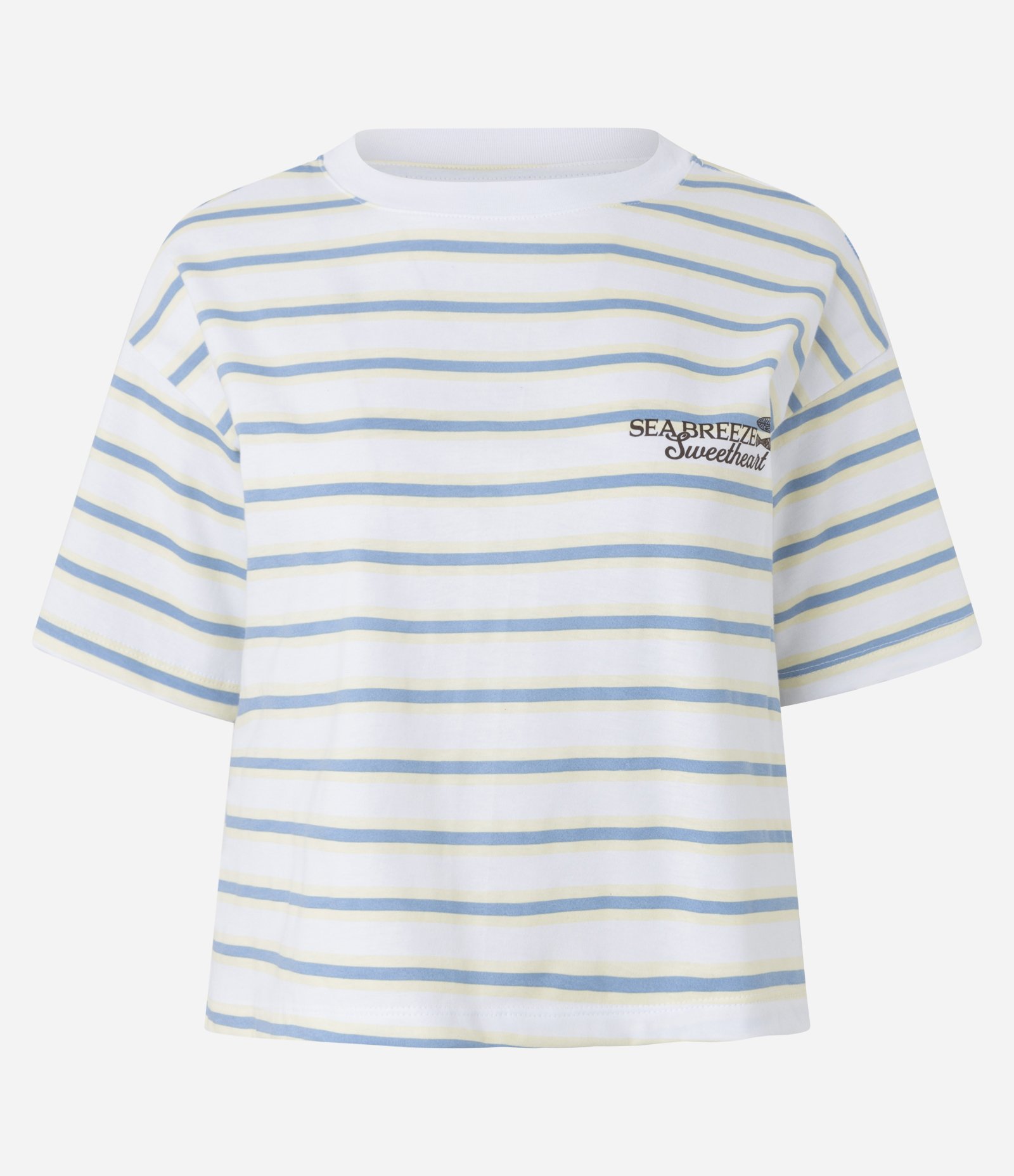 Camiseta Boxy Esportiva em Algodão com Estampa Listrada Branco/Azul 5