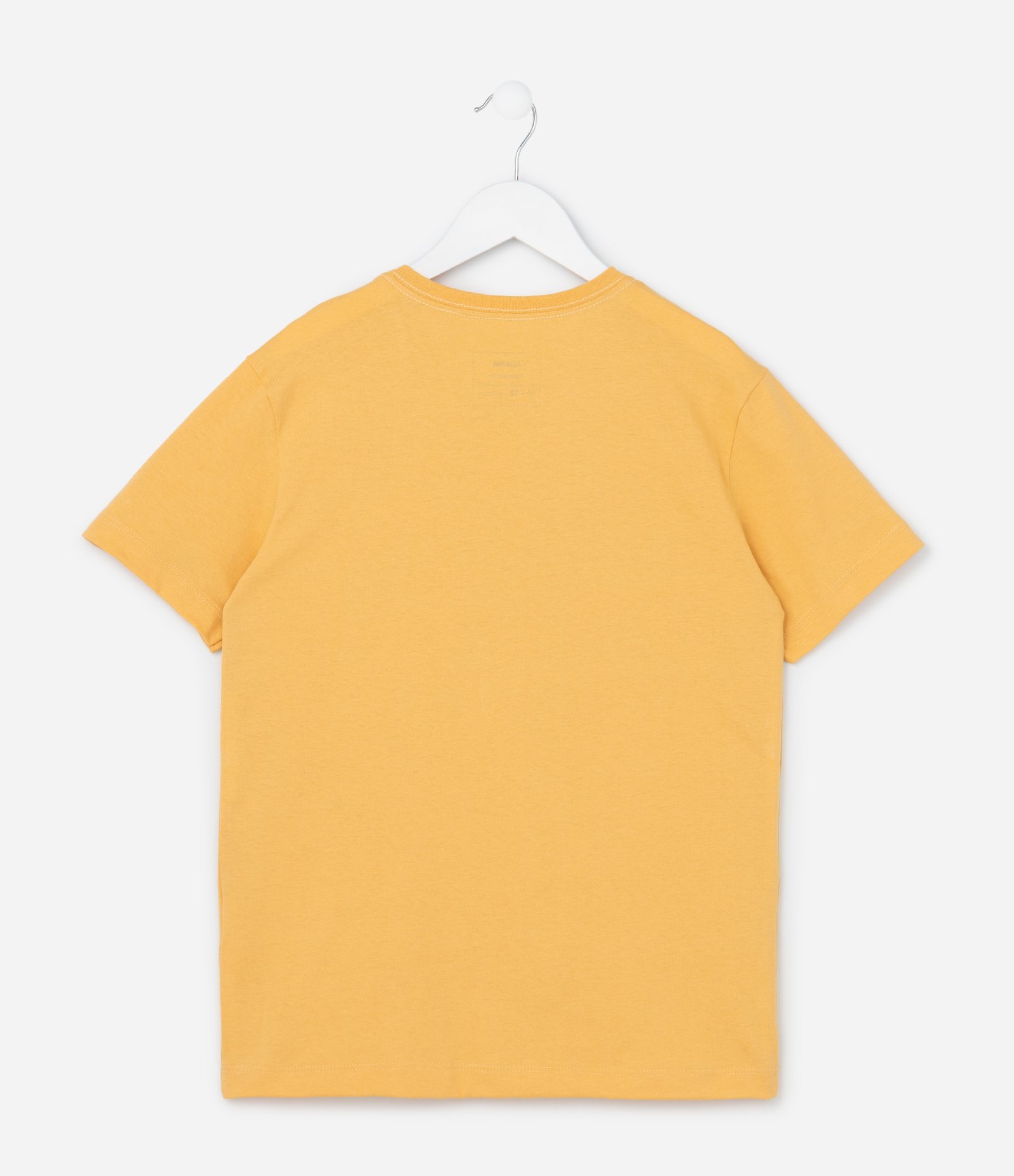 Camiseta Infantil com Estampa Praia - Tam 5 a 14 Anos Laranja 2