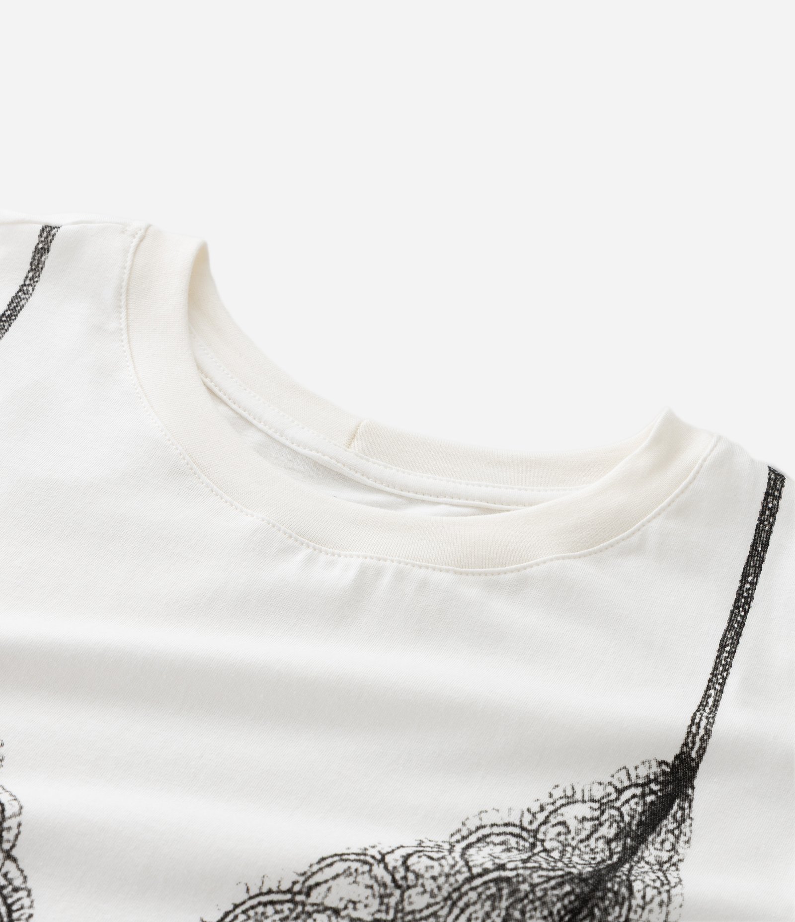 Camiseta Manga Curta em Algodão com Silk Lingerie Curve & Plus Size Branco 4