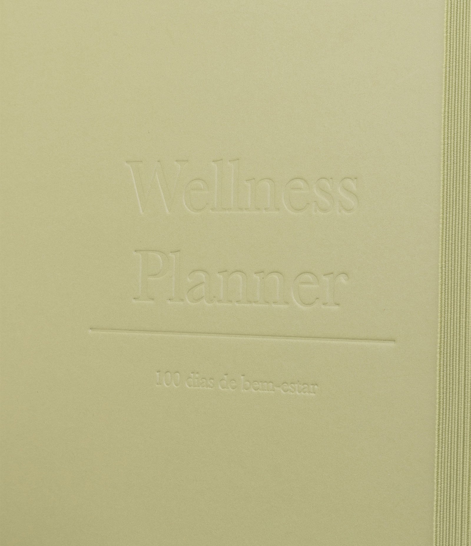 Planner Wellness "100 Dias De Bem-Estar" Capa Dura Com Elástico Verde 2