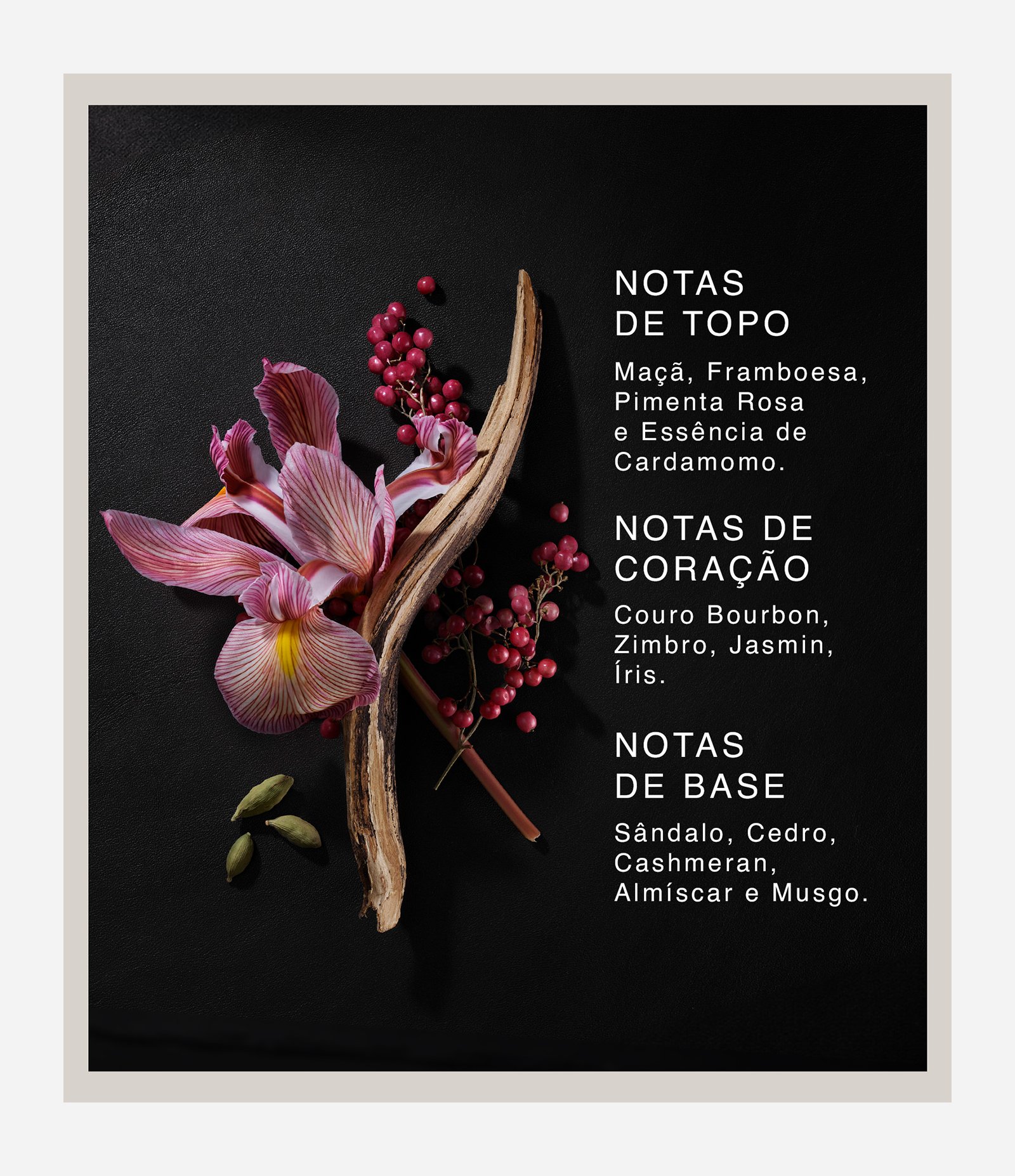 Perfume David Beckham The Collection Exquisite Leather Eau de Parfum Masculino  100ML 6