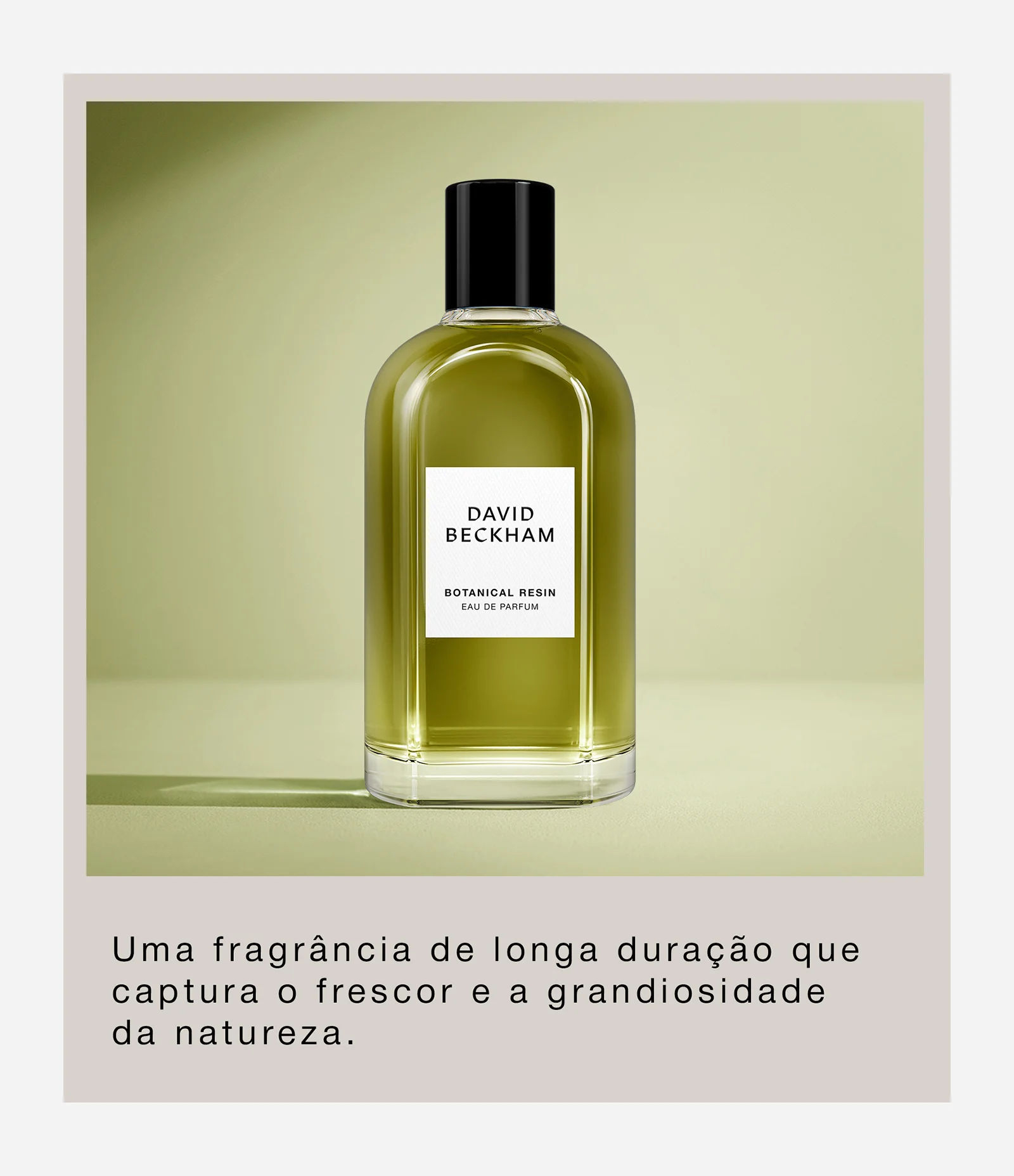 Perfume David Beckham The Collection Botanical Resin Eau De Parfum 100ML 3
