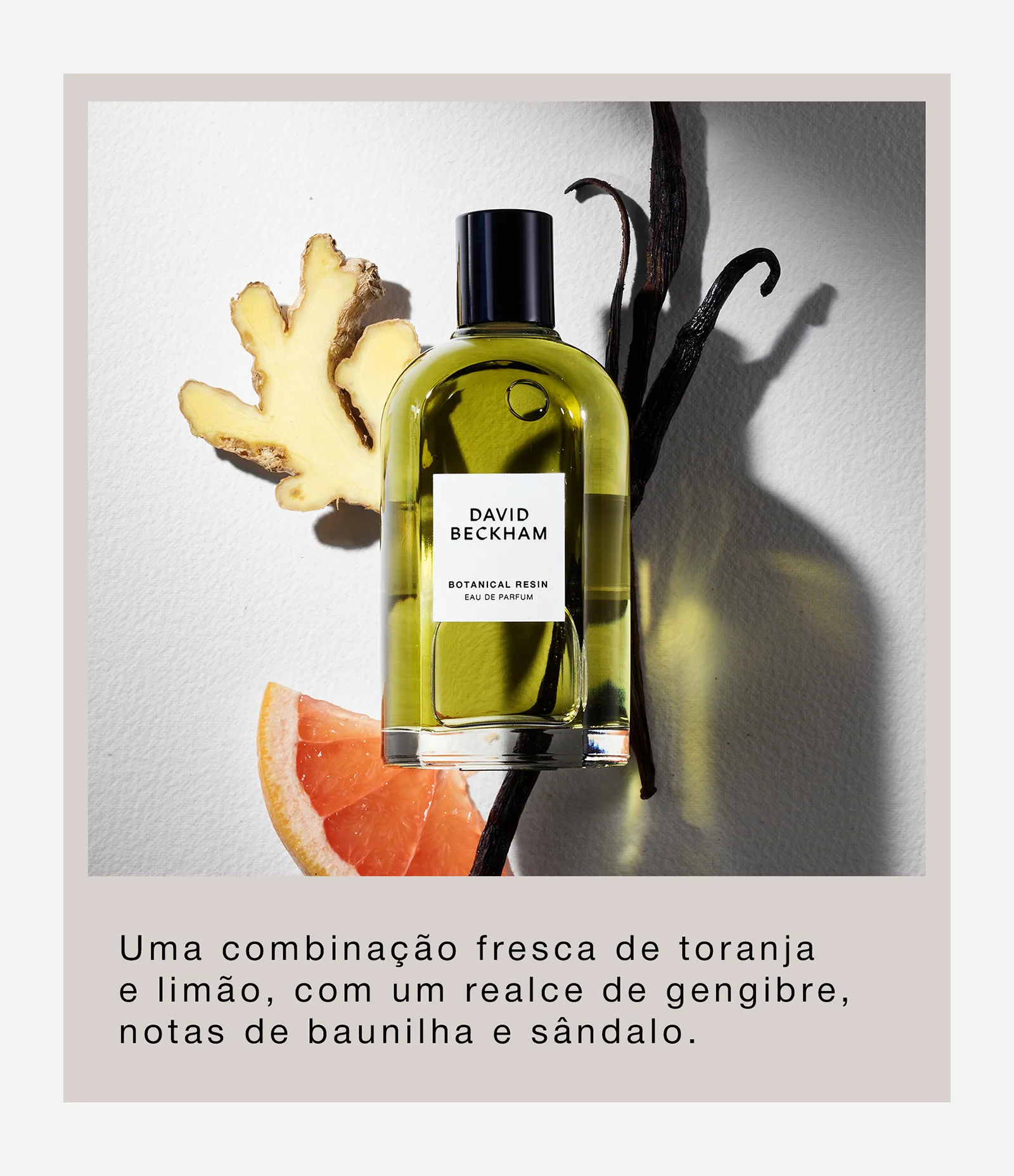 Perfume David Beckham The Collection Botanical Resin Eau De Parfum 100ML 4