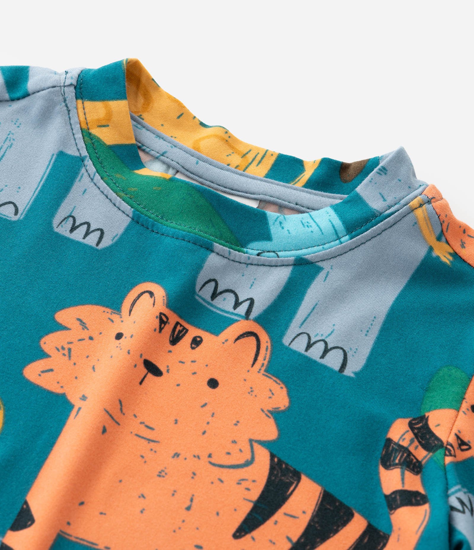 Pijama Infantil Longo em Plush com Estampa de Animais – Tam 2 a 6 Anos Verde 9