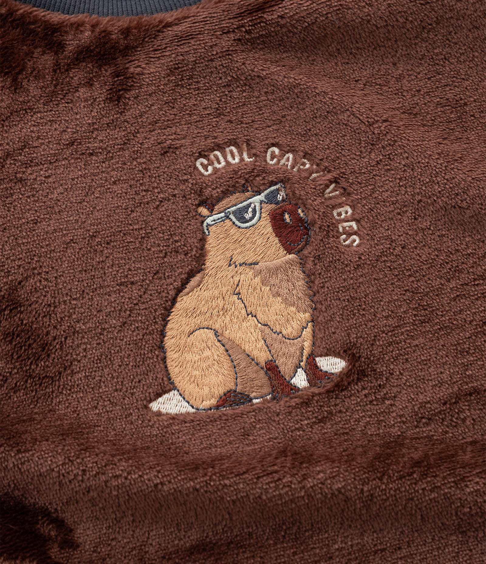 Pijama Infantil Longo com Bordado de Capivara – Tam 7 a 16 Anos Marrom/Cinza 11