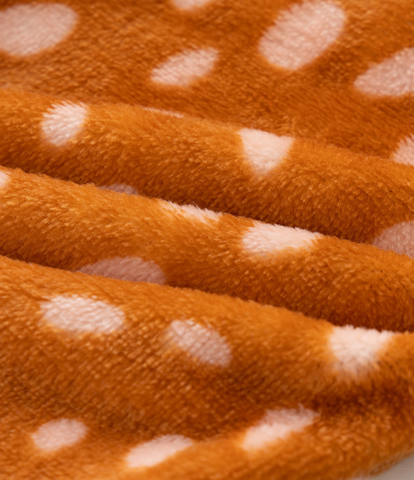 Pijama Infantil em Fleece com Animais Aplicados – Tam 1 a 4 Anos Caramelo/Bege 8