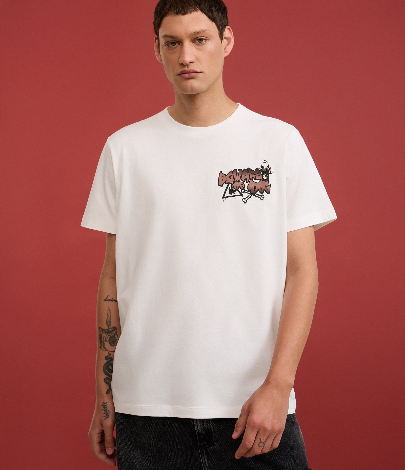 Camiseta Comfort em Algodão com Estampa Gangue de Vira Latas Branco 2