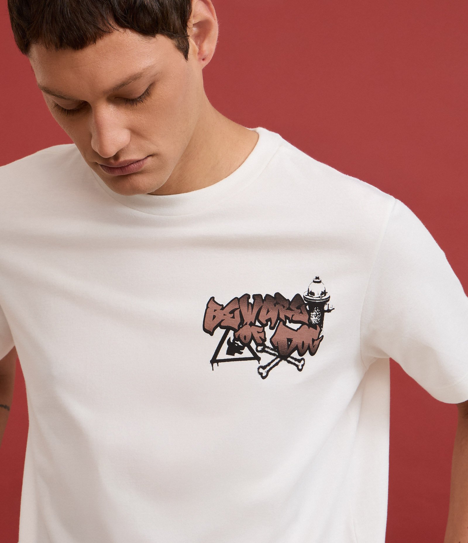 Camiseta Comfort em Algodão com Estampa Gangue de Vira Latas Branco 6