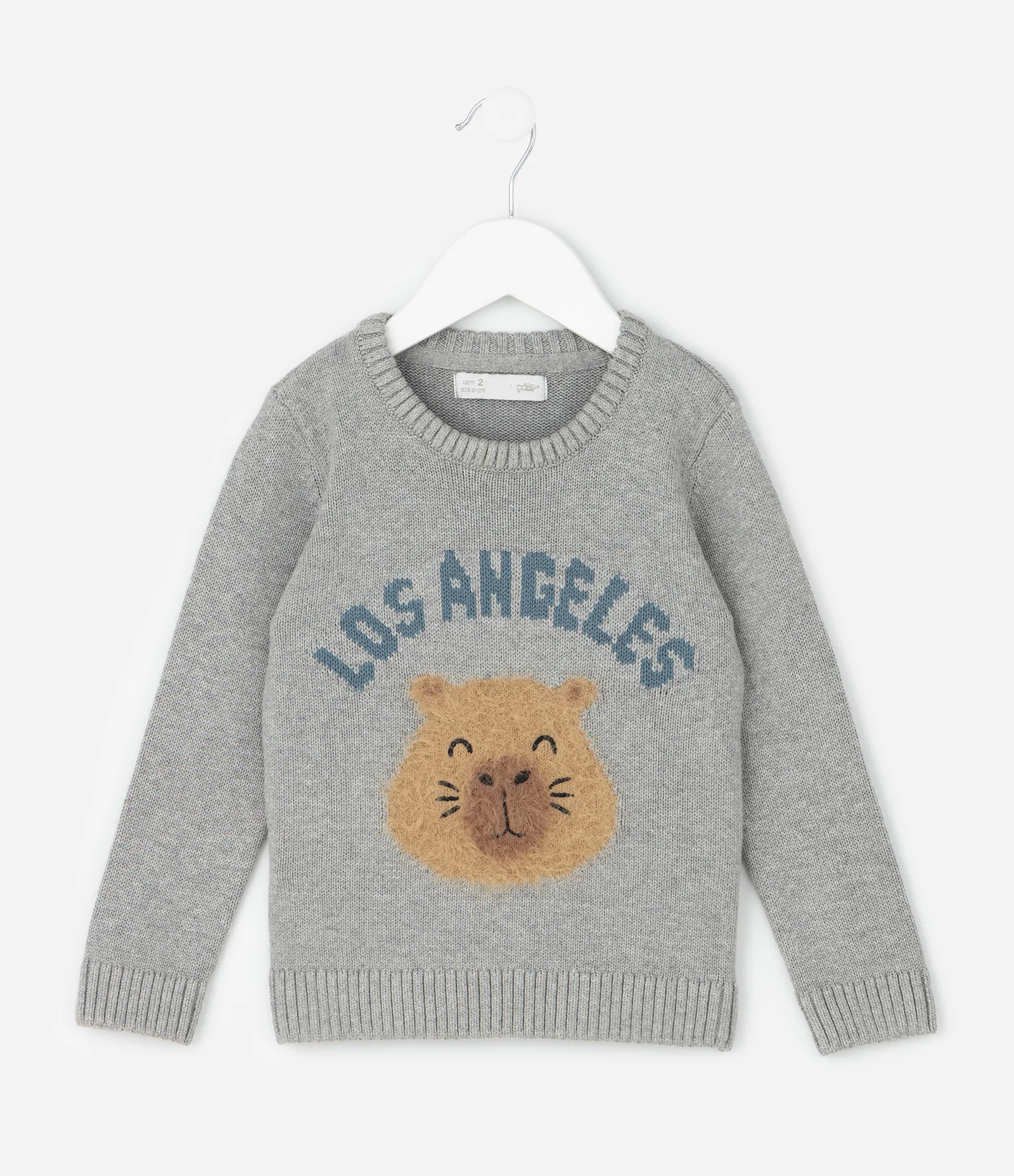 Casaco Infantil em Efeito Tricô com Aplicação de Capivara – Tam 1 a 5/6 Cinza 1