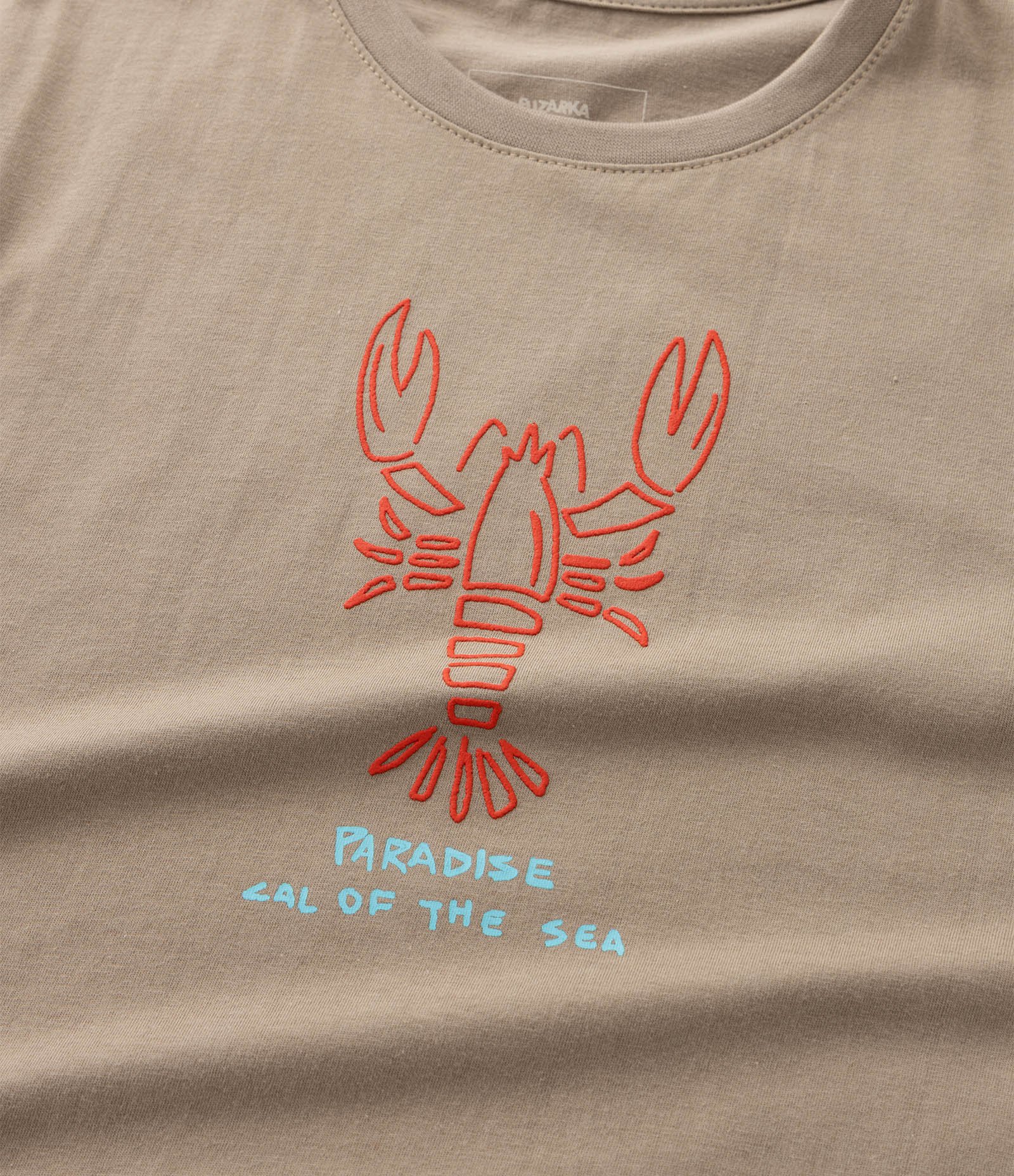 Camiseta Infantil com Estampa Lagosta - Tam 5 a 14 Anos Marrom 4