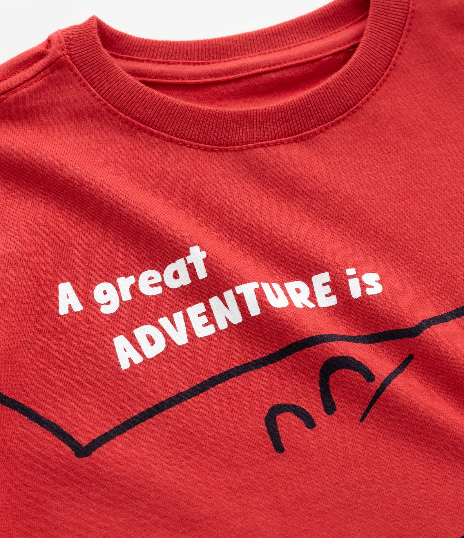 Camiseta Infantil com Estampa Tubarão - Tam 1 a 6 Anos Vermelho 5