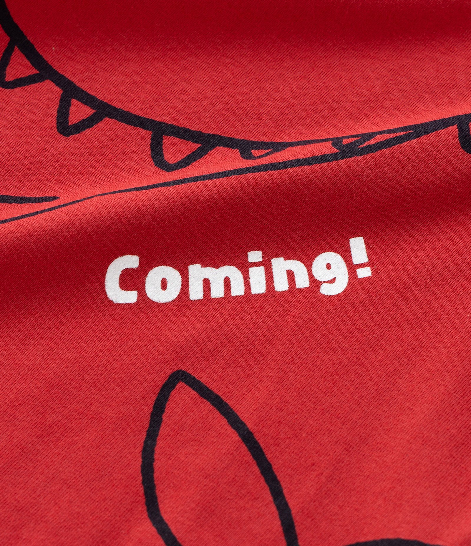 Camiseta Infantil com Estampa Tubarão - Tam 1 a 6 Anos Vermelho 6