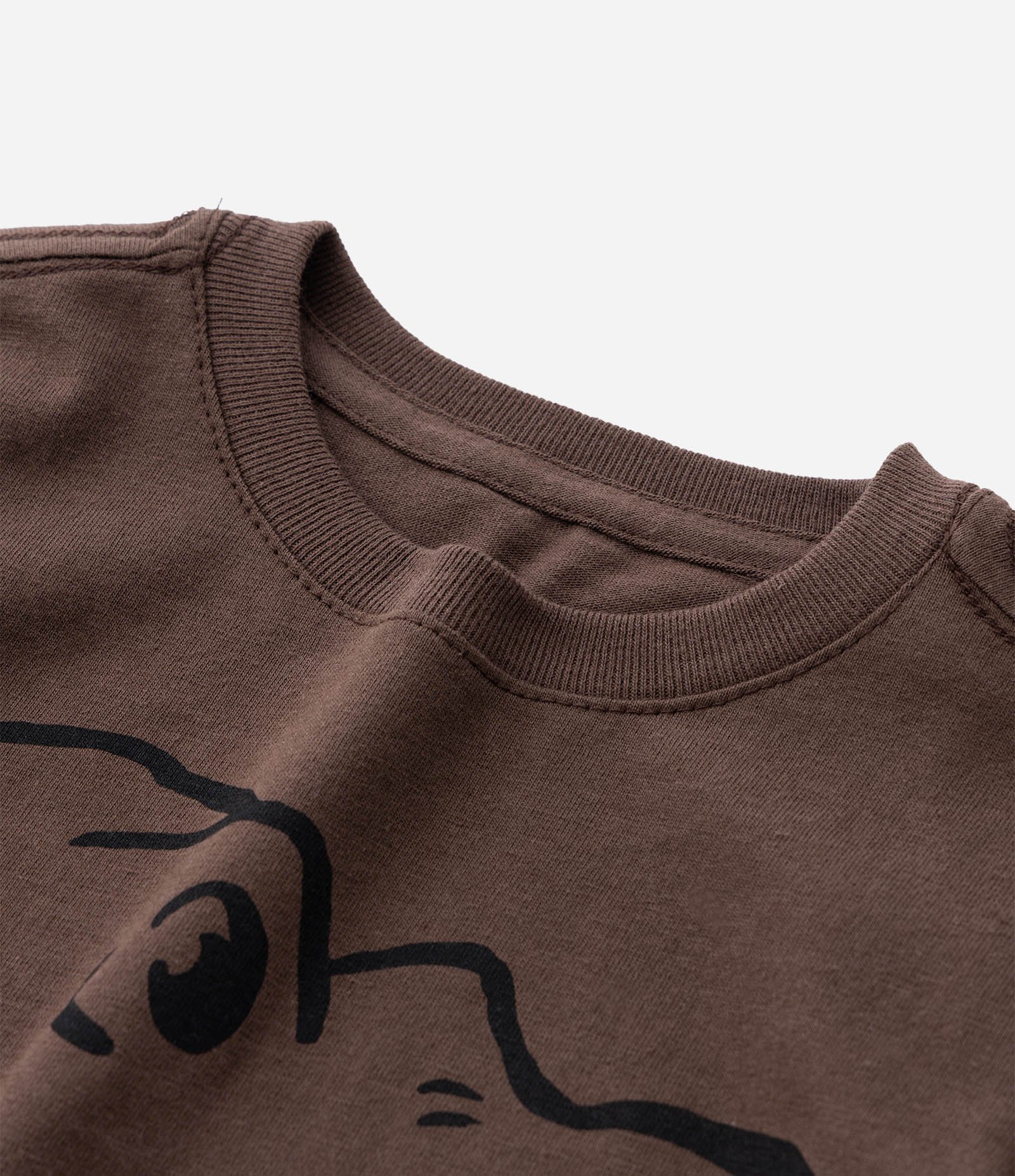 Camiseta Infantil com Estampa de Dinossauro - Tam 1 a 6 Anos Marrom 5