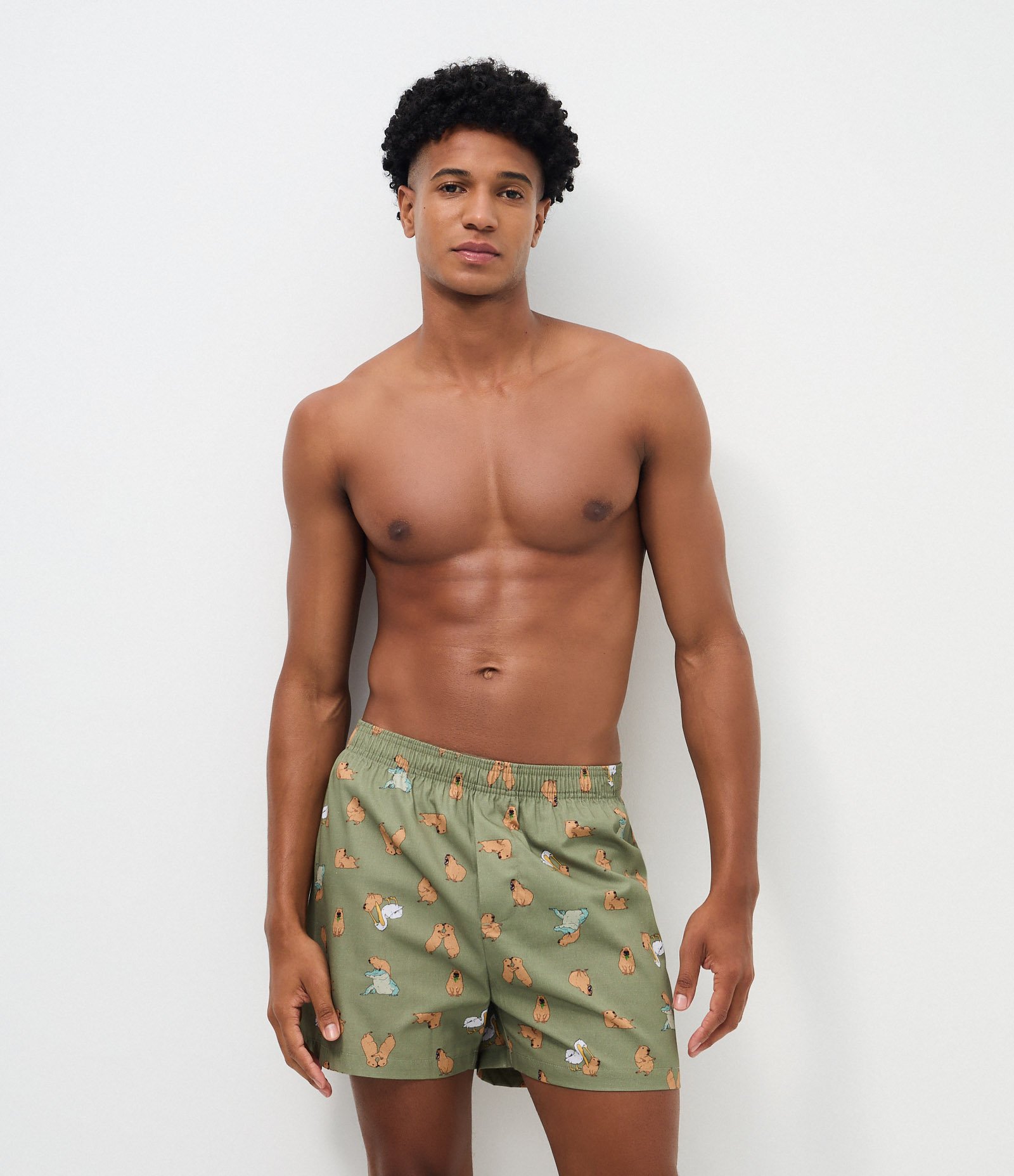 Cueca Samba Canção em Tricoline com Estampa de Capivara Verde 1