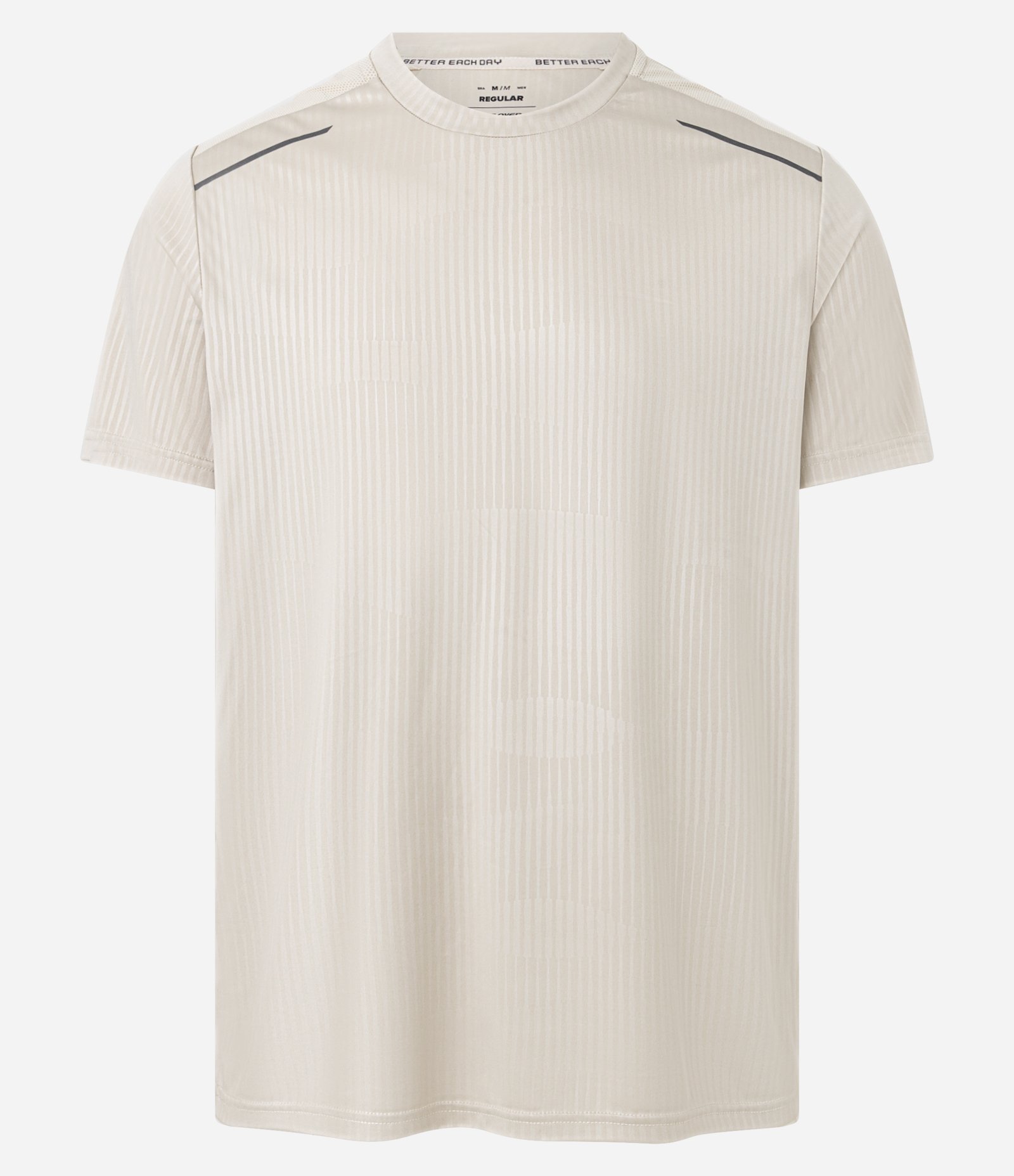 Camiseta Esportiva Regular com Tecnologia Dry Cinza 1