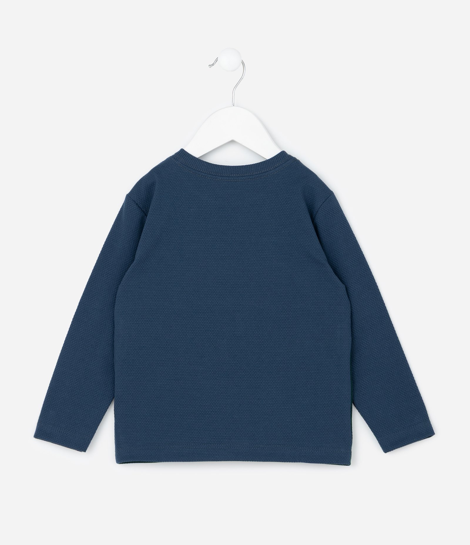 Camiseta Manga Longa em Algodão com Estampa - Tam 1 a 6 Anos Azul 2
