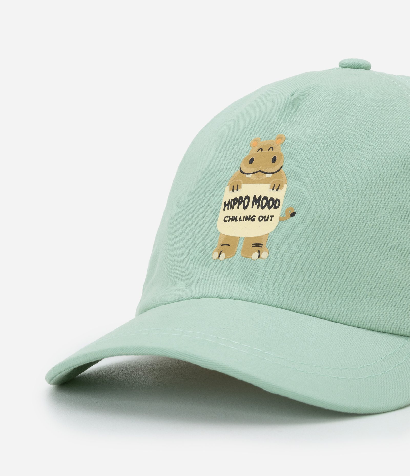 Boné Infantil Aba Curva com Estampa Hipopótamo - Tam Único Verde 4