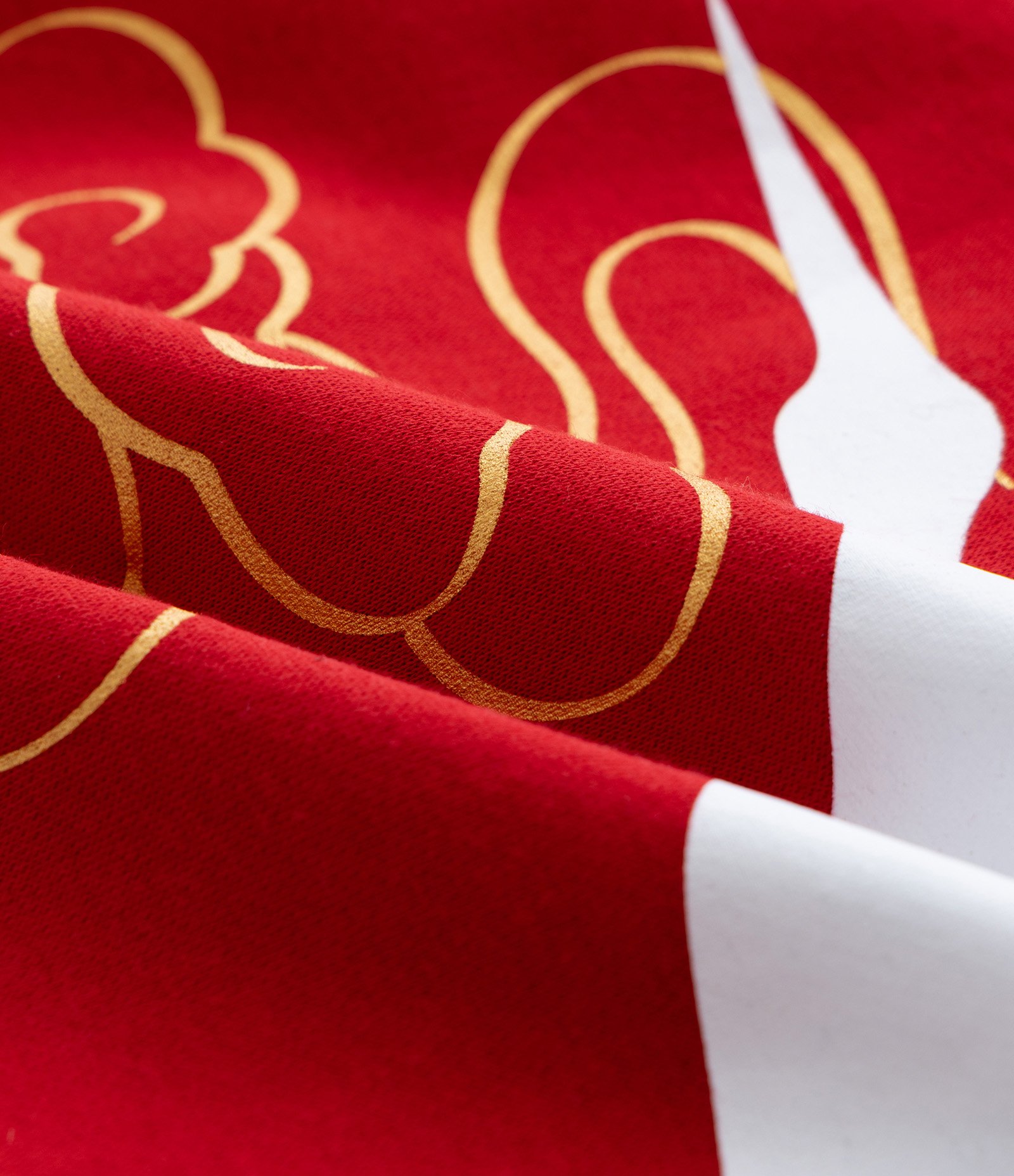 Casaco Boxy em Moletom com Felpa e Estampa Lettering Vermelho 12