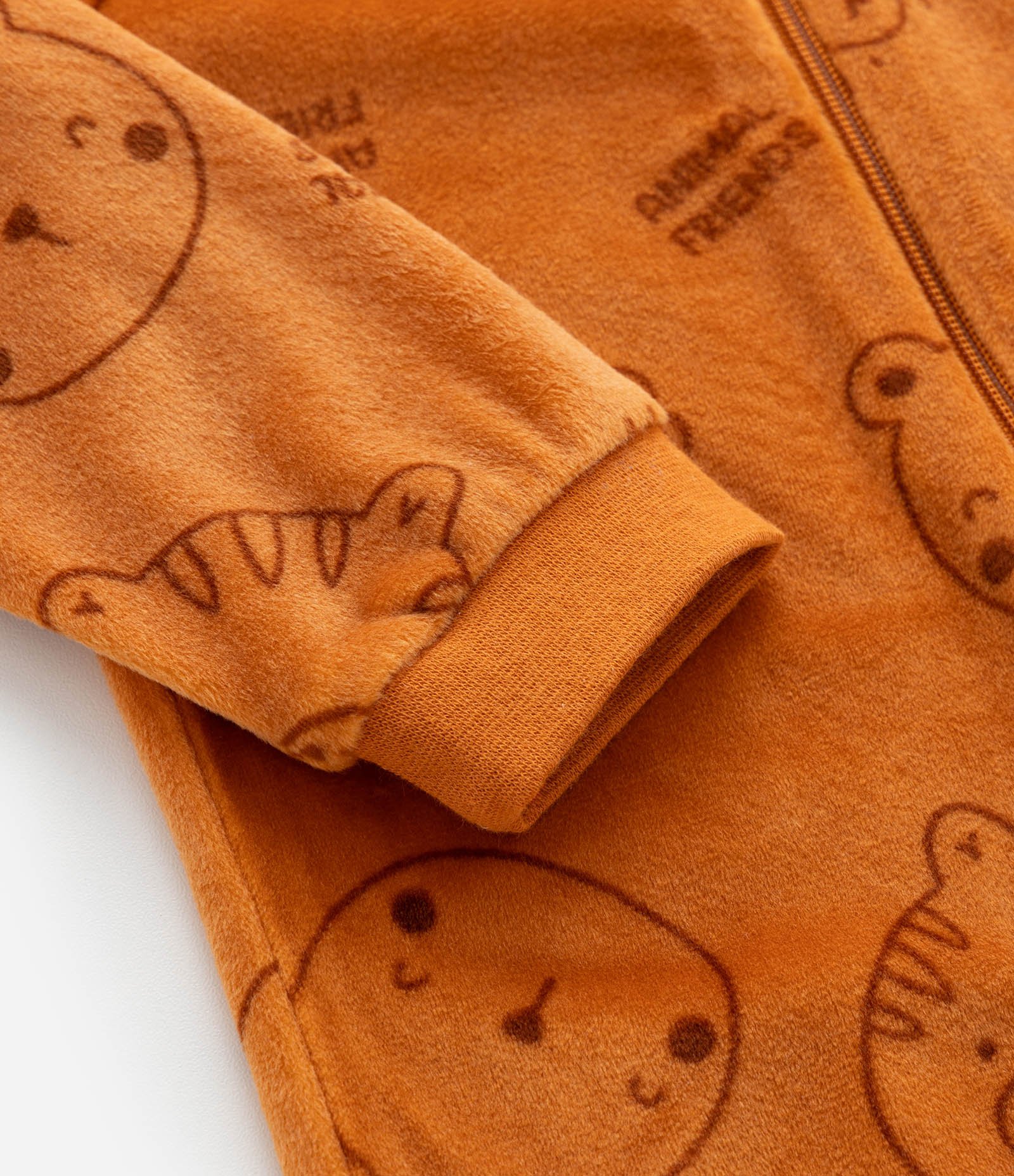Macacão Plush com Estampa de Bichos - Tam 0 a 18 Meses Marrom 6