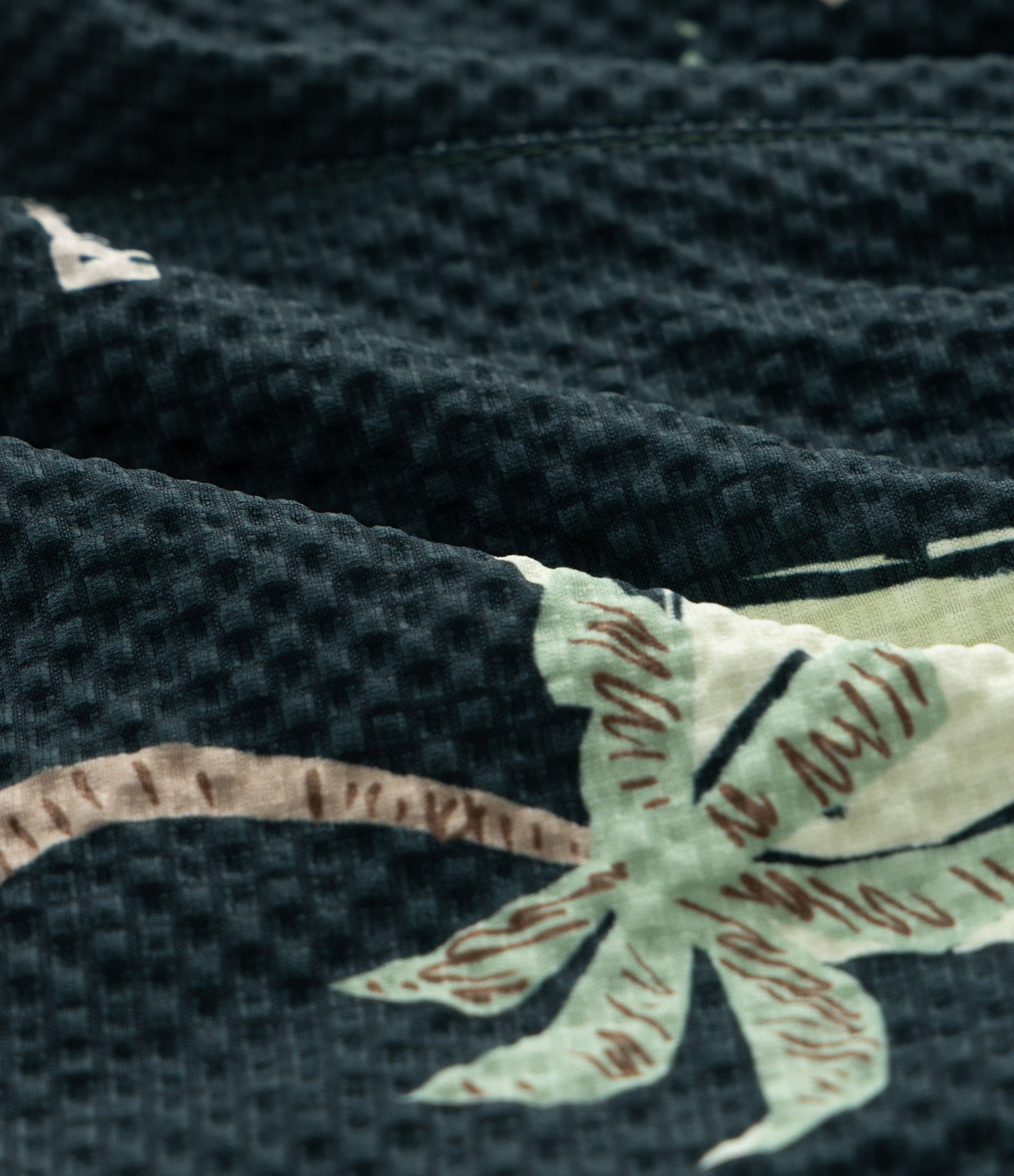 Bermuda Infantil com Estampa de Leão e Palmeiras - Tam 1 a 6 Anos Preto 3