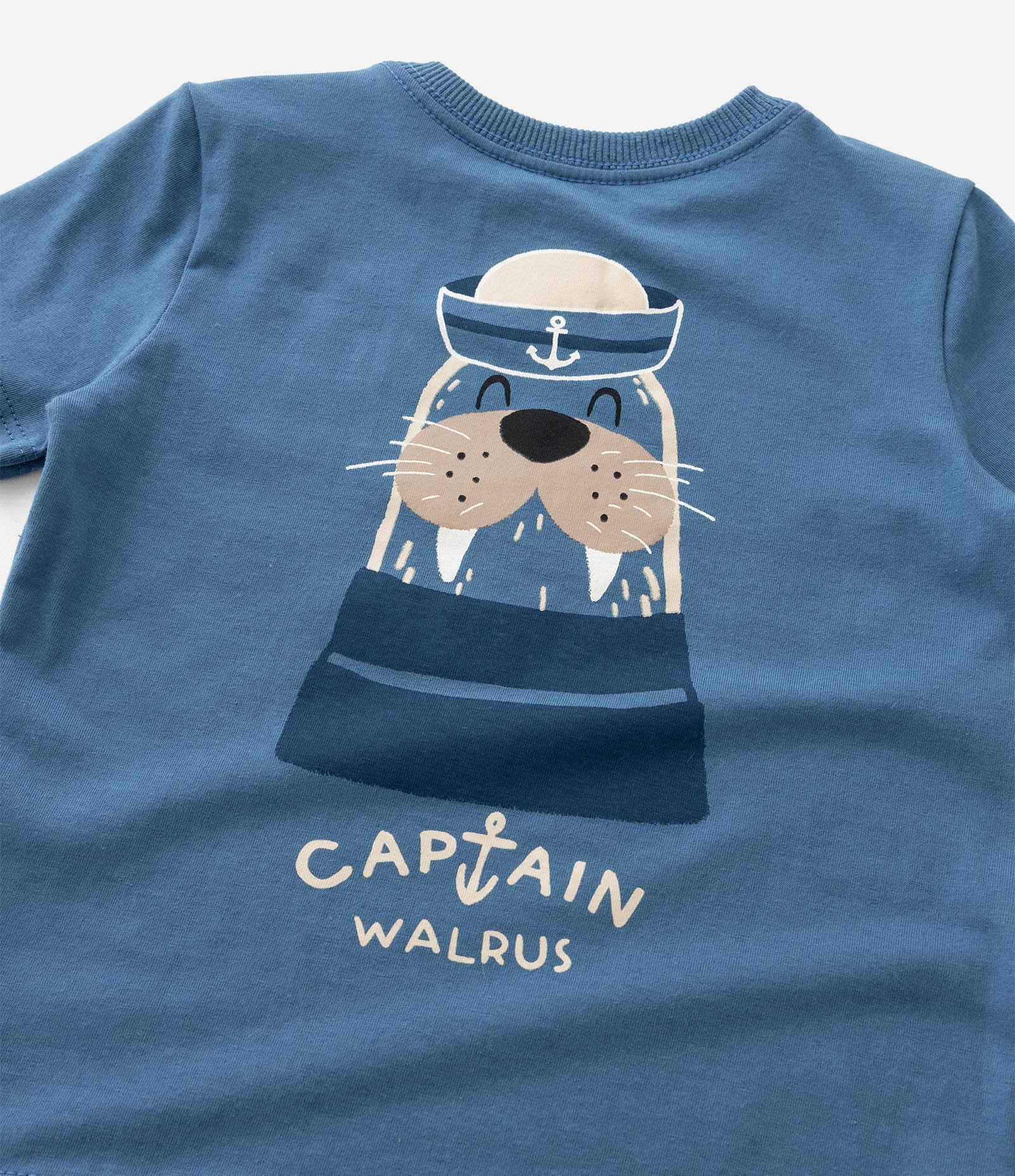 Conjunto Infantil em Algodão com Estampa de Foca - 1 a 5/6 Azul 11