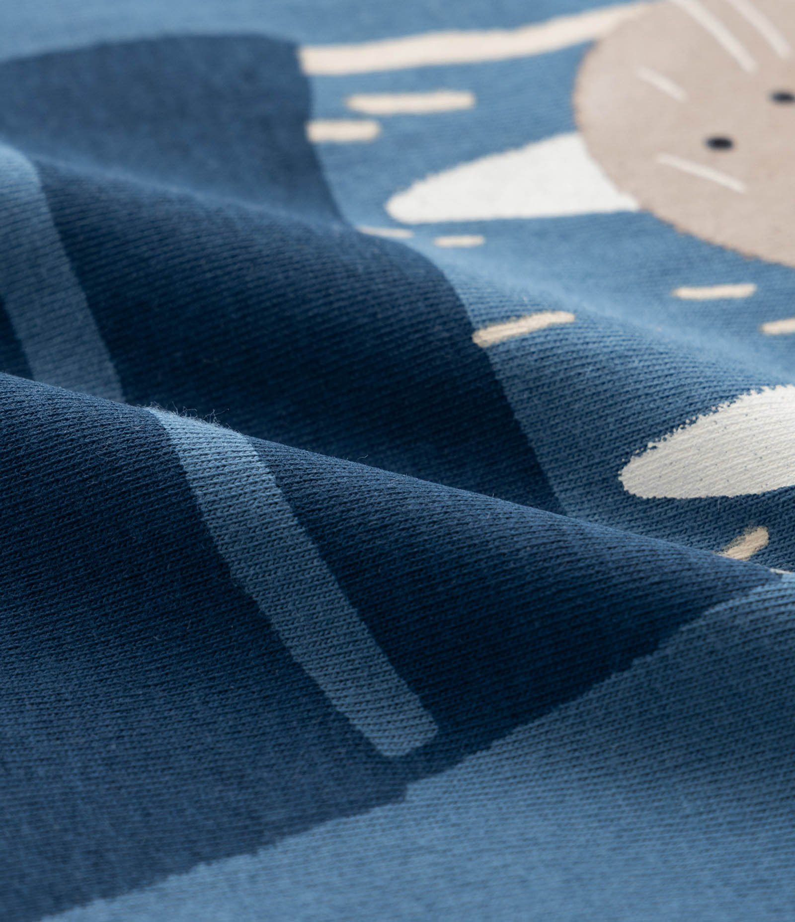 Conjunto Infantil em Algodão com Estampa de Foca - 1 a 5/6 Azul 7