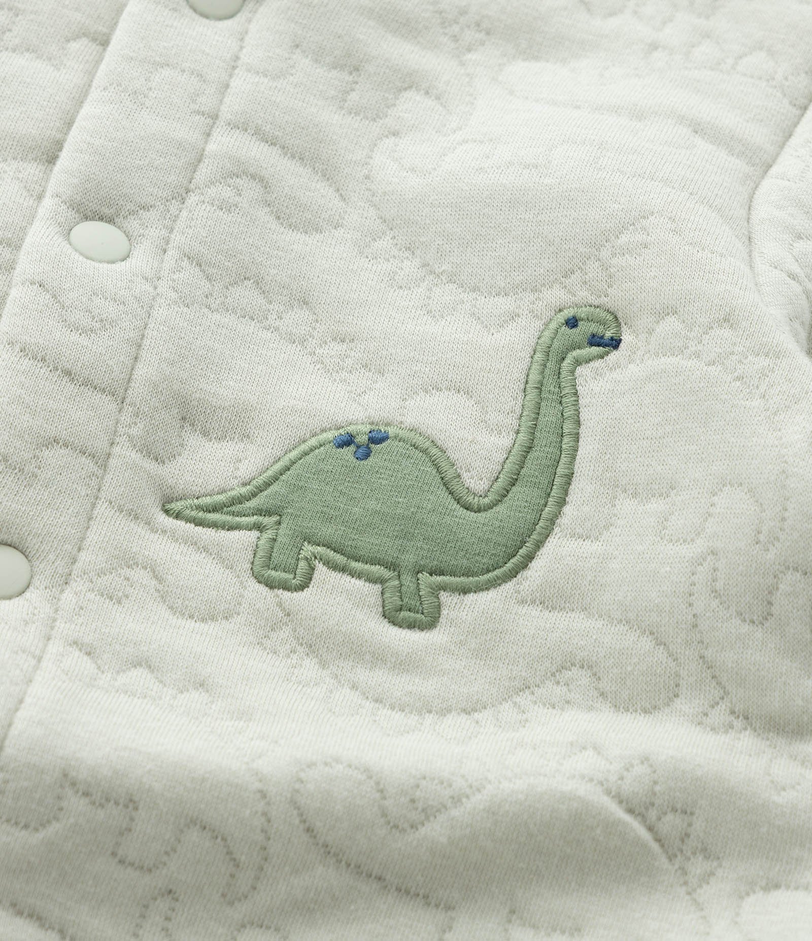 Macacão Infantil Manga Longa Matelassê com Dinossauro – Tam 0 a 18 Meses Verde Claro 9