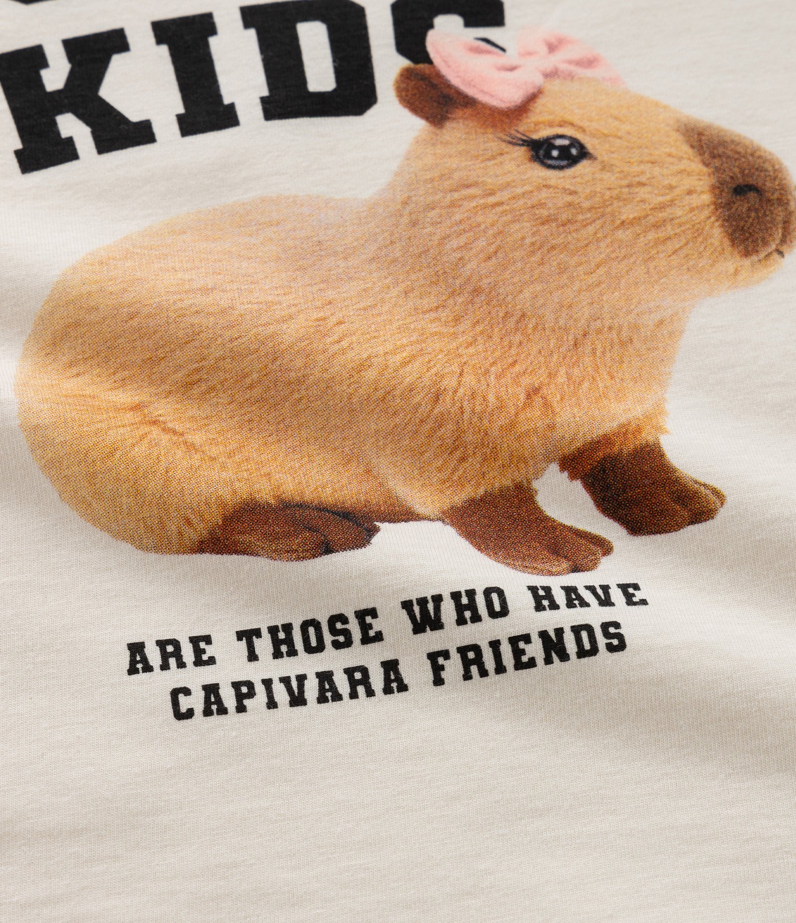 Camiseta Infantil com Estampa de Capivara Realista  - Tam 1 a 6 Anos Bege 4