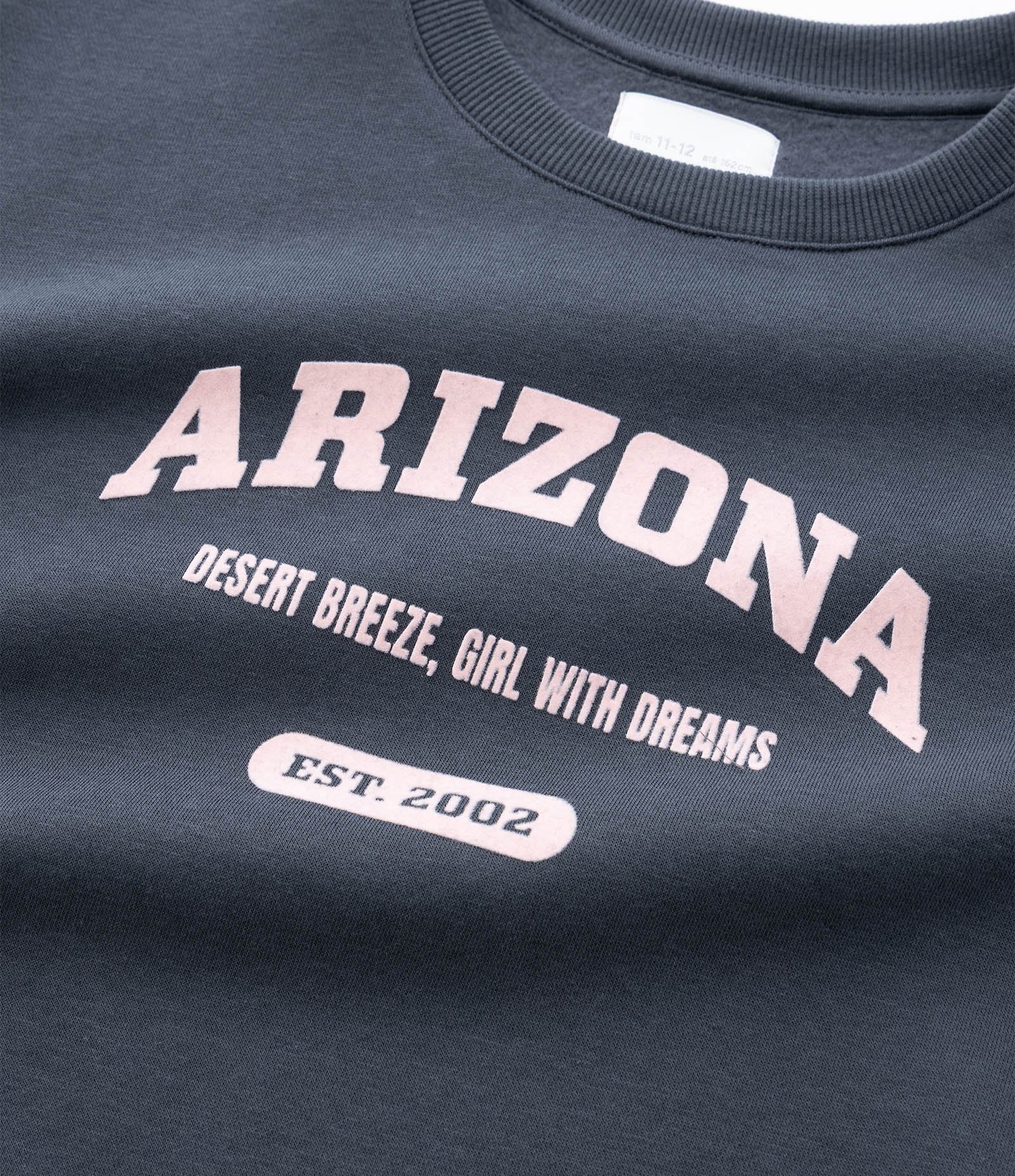 Casaco Infantil com Lettering Arizona em Chenille – Tam 7 a 16 Anos Chumbo 6