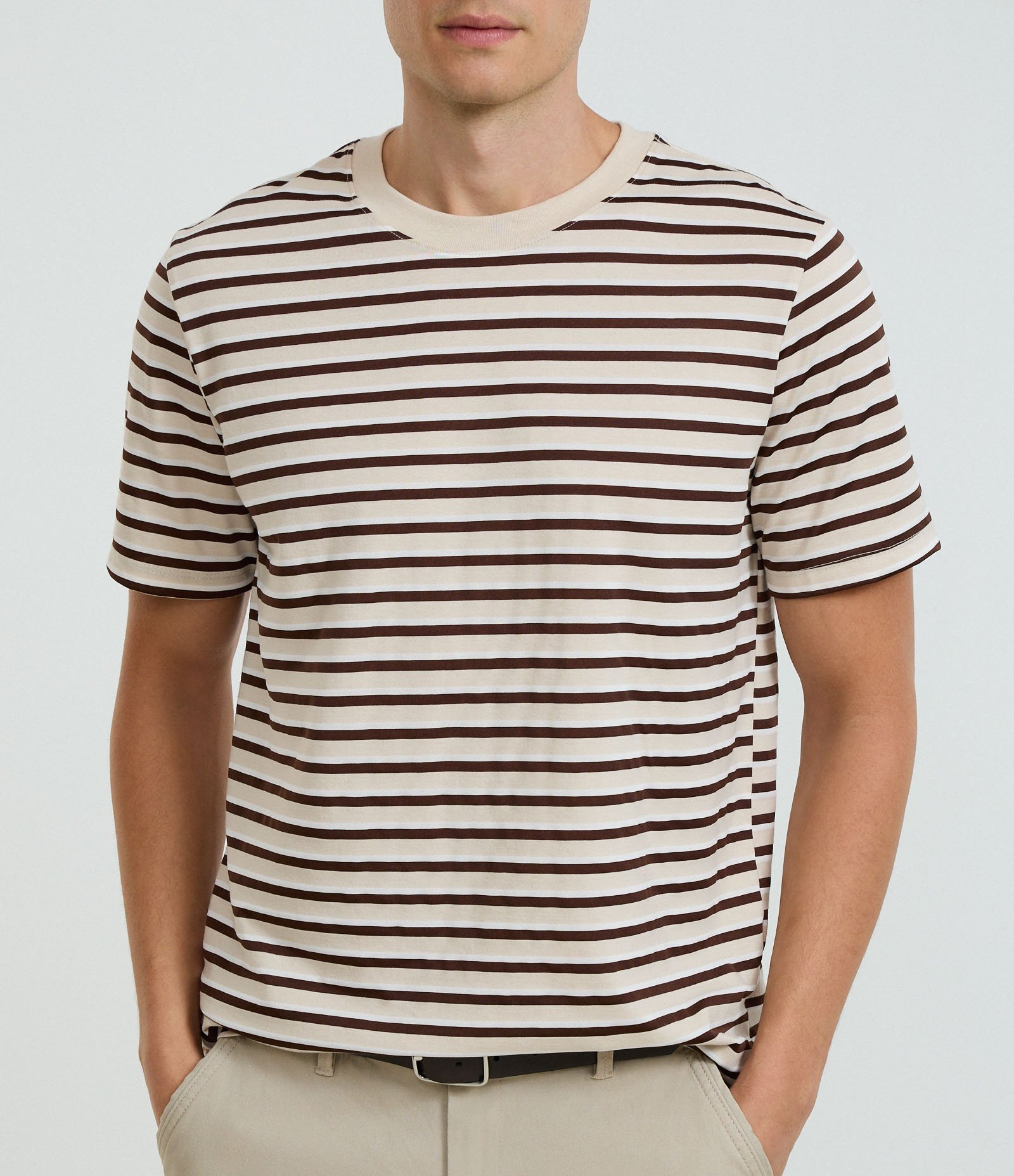 Camiseta Regular em Algodão com Listras em Fio Tinto Marrom 3