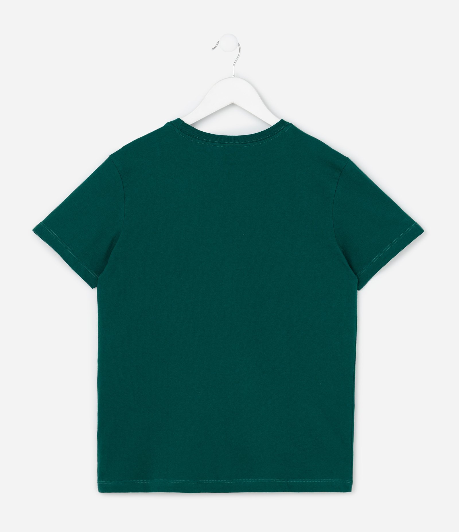 Camiseta Infantil Regular com Estampa de Mini Ícone de Barco - Tam 5 a 14 Anos Verde 2