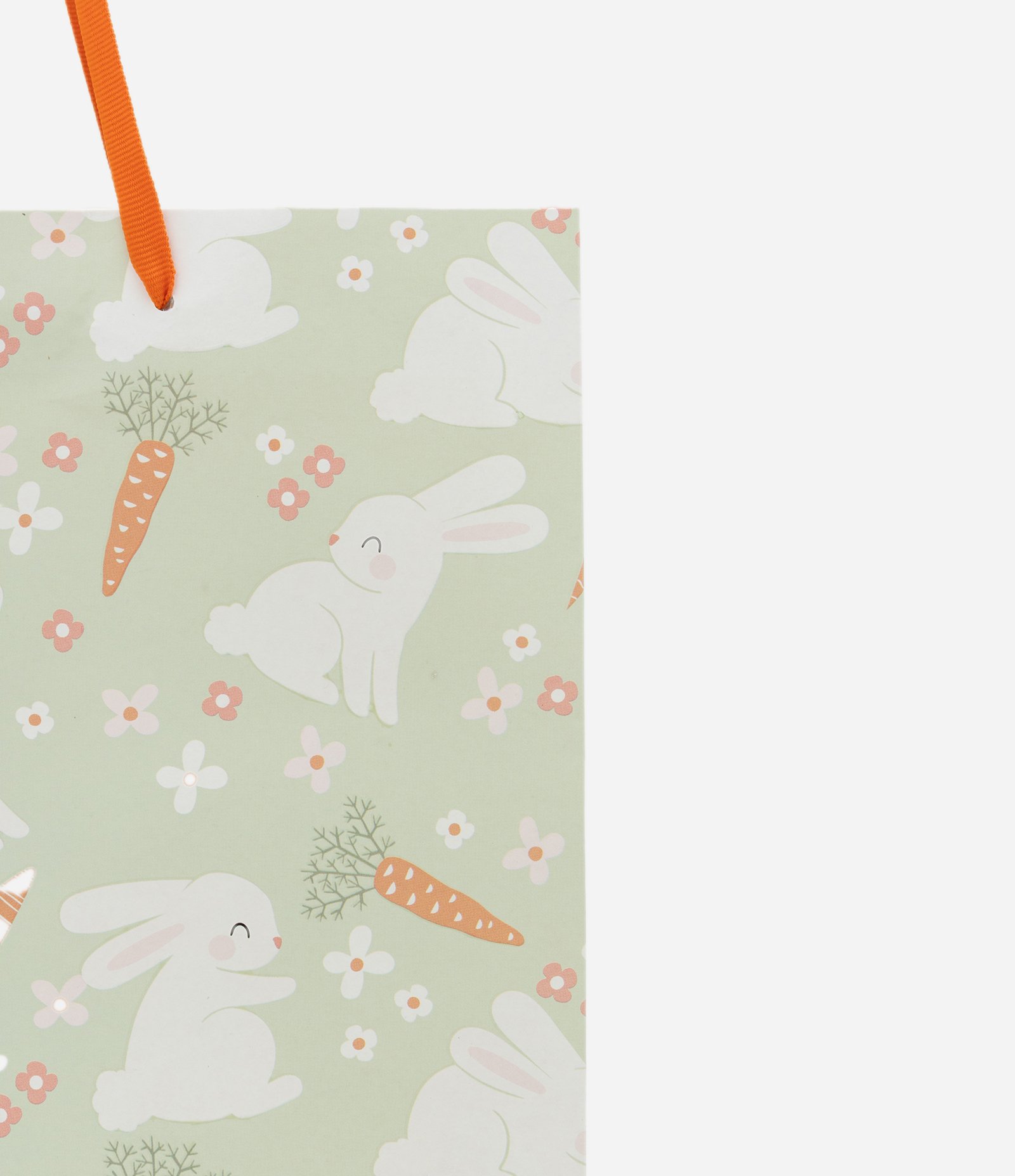 Embalagem de Presente Média com Estampa de Coelhinhos Verde 2