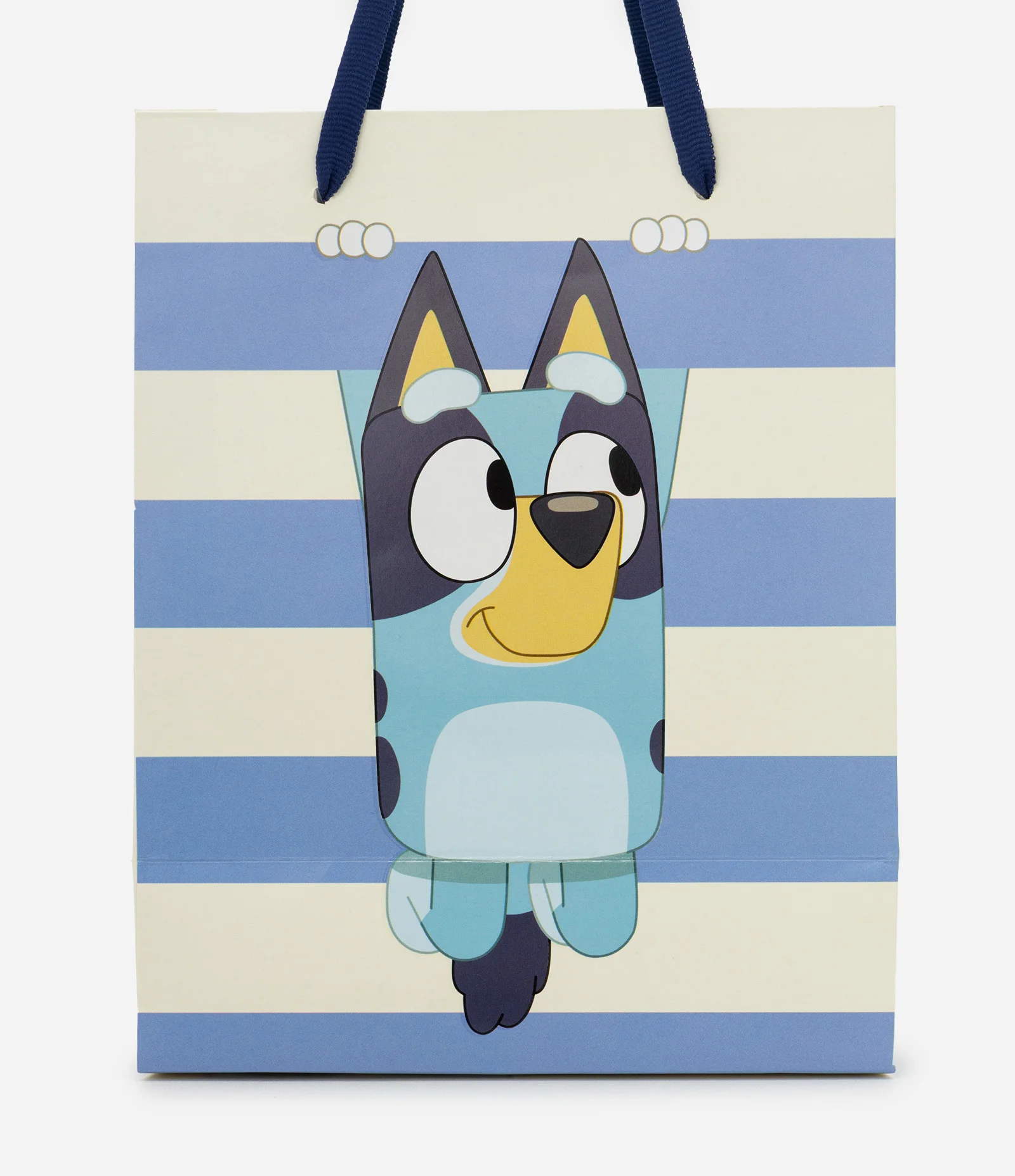 Embalagem de Presente Pequena com Estampa Bluey Azul 2